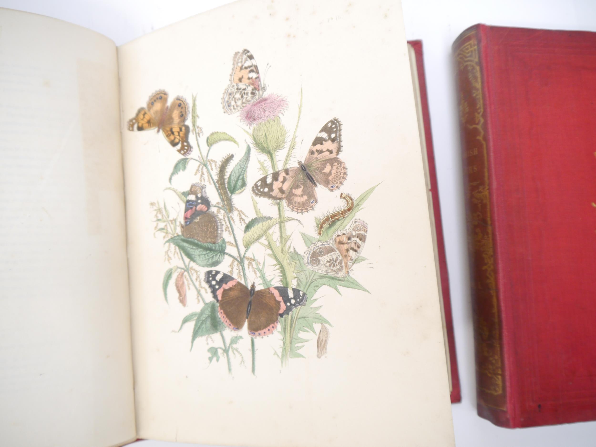 (Butterflies & Moths, Lepidoptera.) John Obadiah Westwood & Henry Noel Humphreys: 'British - Image 4 of 9