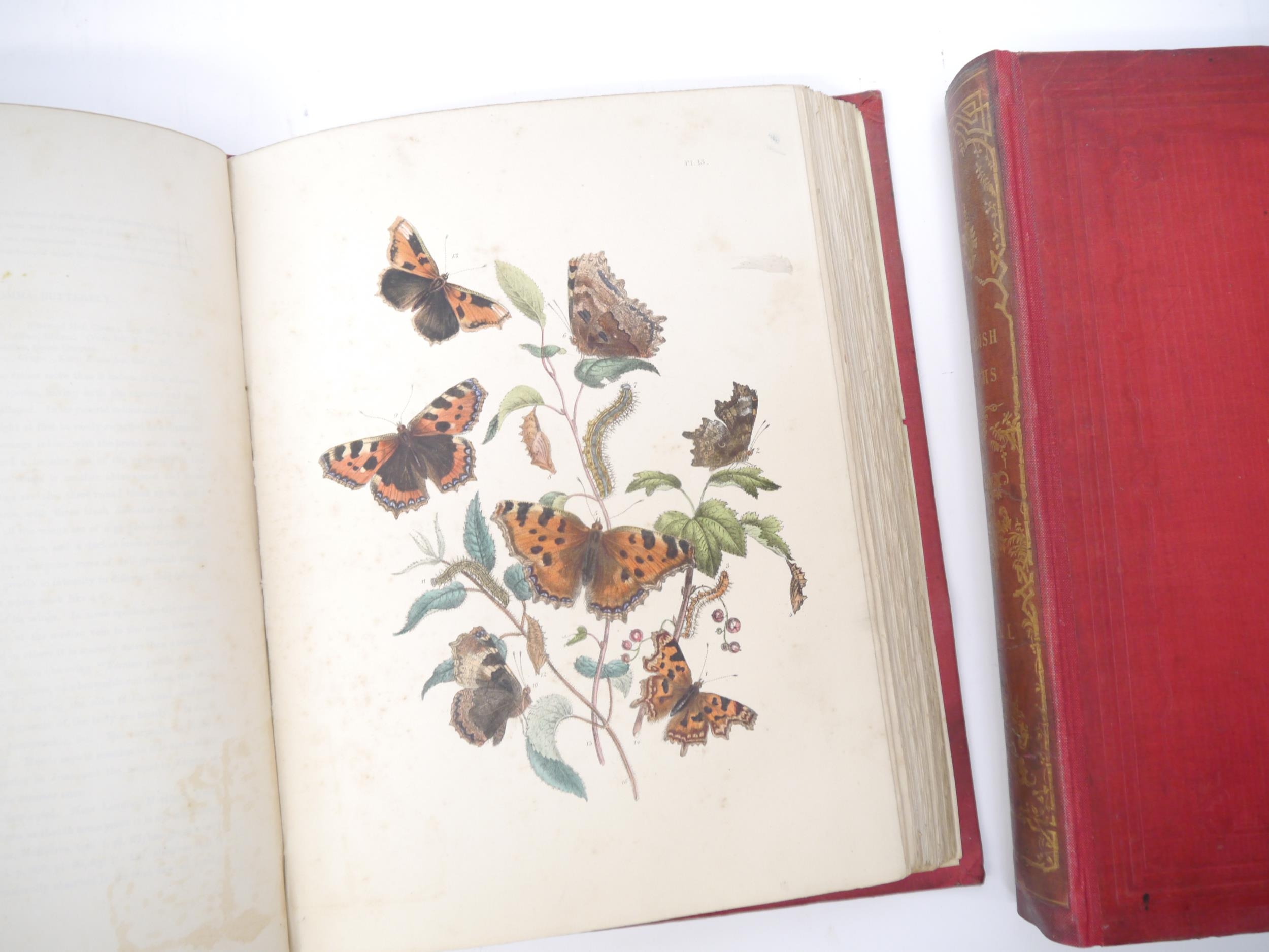 (Butterflies & Moths, Lepidoptera.) John Obadiah Westwood & Henry Noel Humphreys: 'British - Image 5 of 9