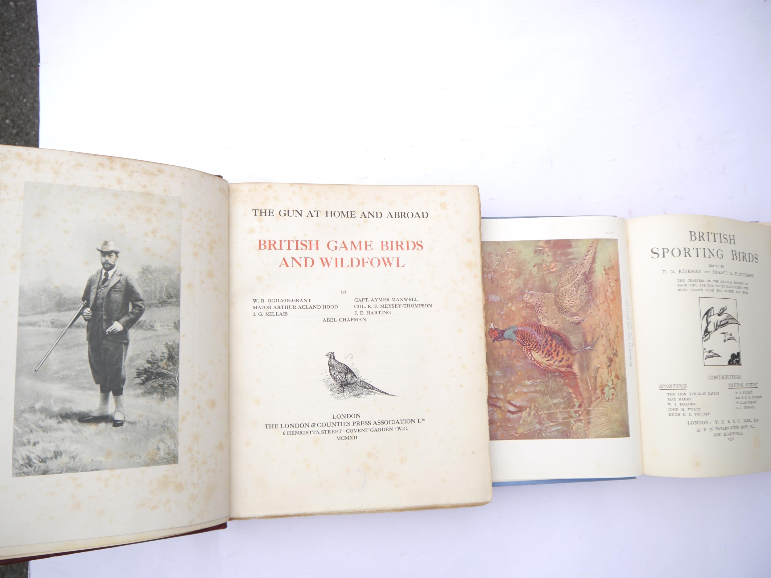 J.G. Millais, Abel Chapman and others: 'The Gun at Home and Abroad. British Game Birds and - Bild 2 aus 4