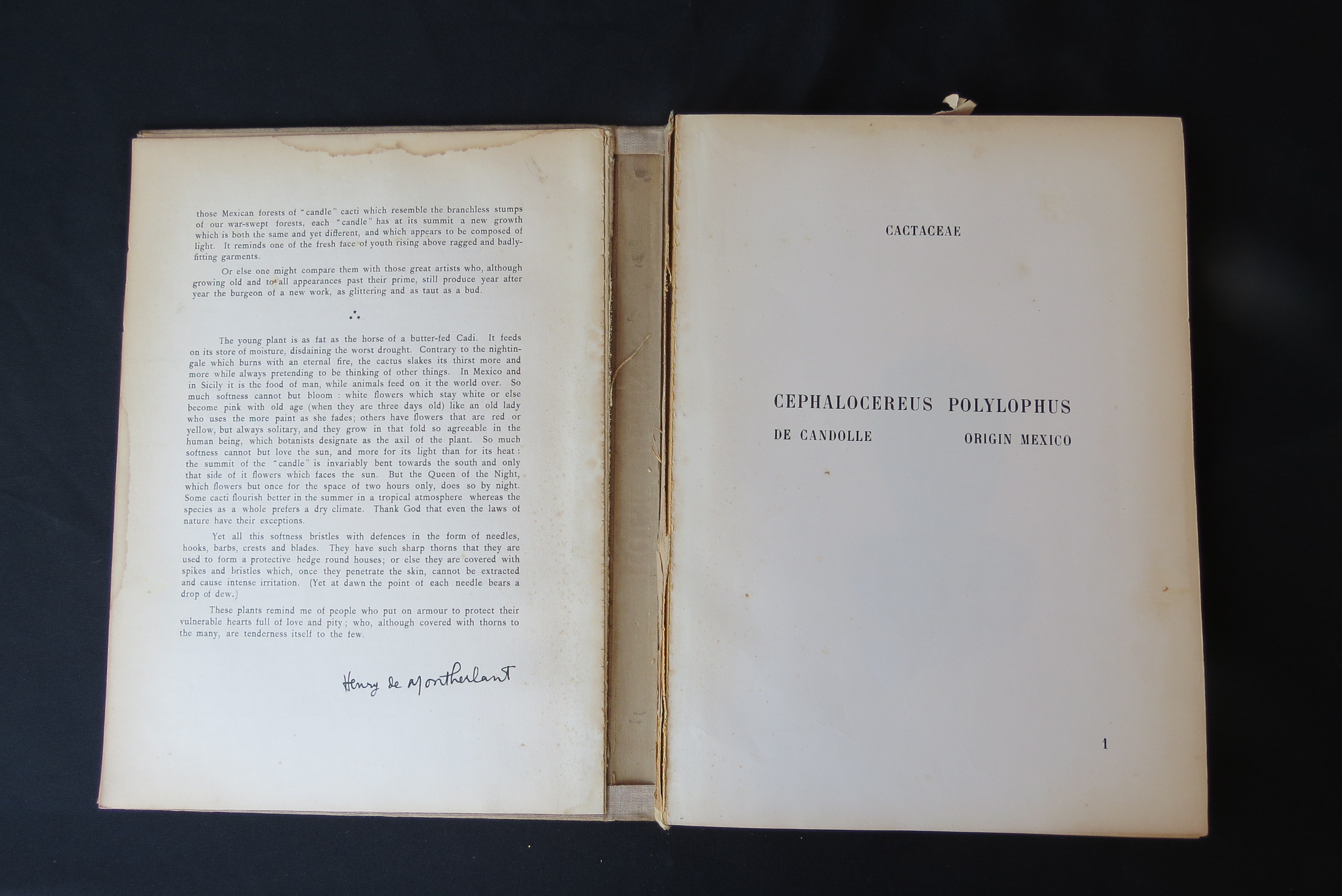 Alexander McDonald: 'A Complete Dictionary of Practical Gardening', London, George Kearsley, 1807, - Bild 31 aus 31