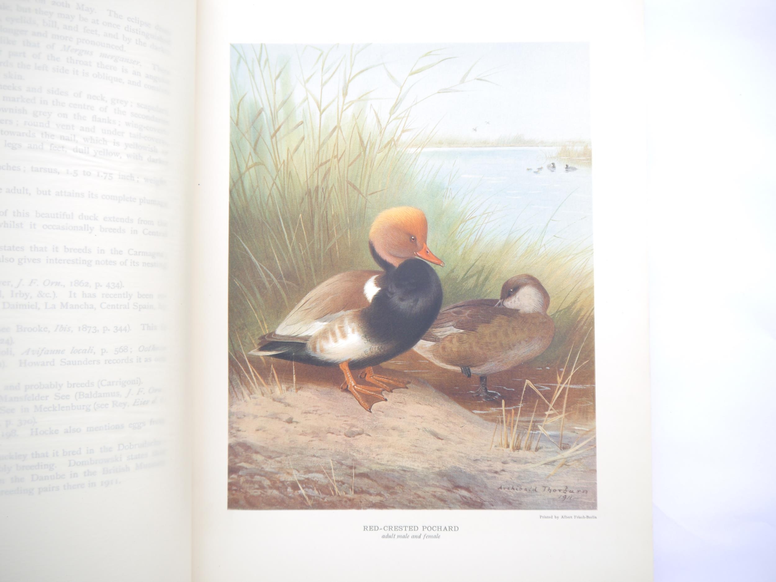 John Guille Millais: 'British Diving Ducks', London, Longmans, Green and Co., 1913, 1st edition, - Image 2 of 8