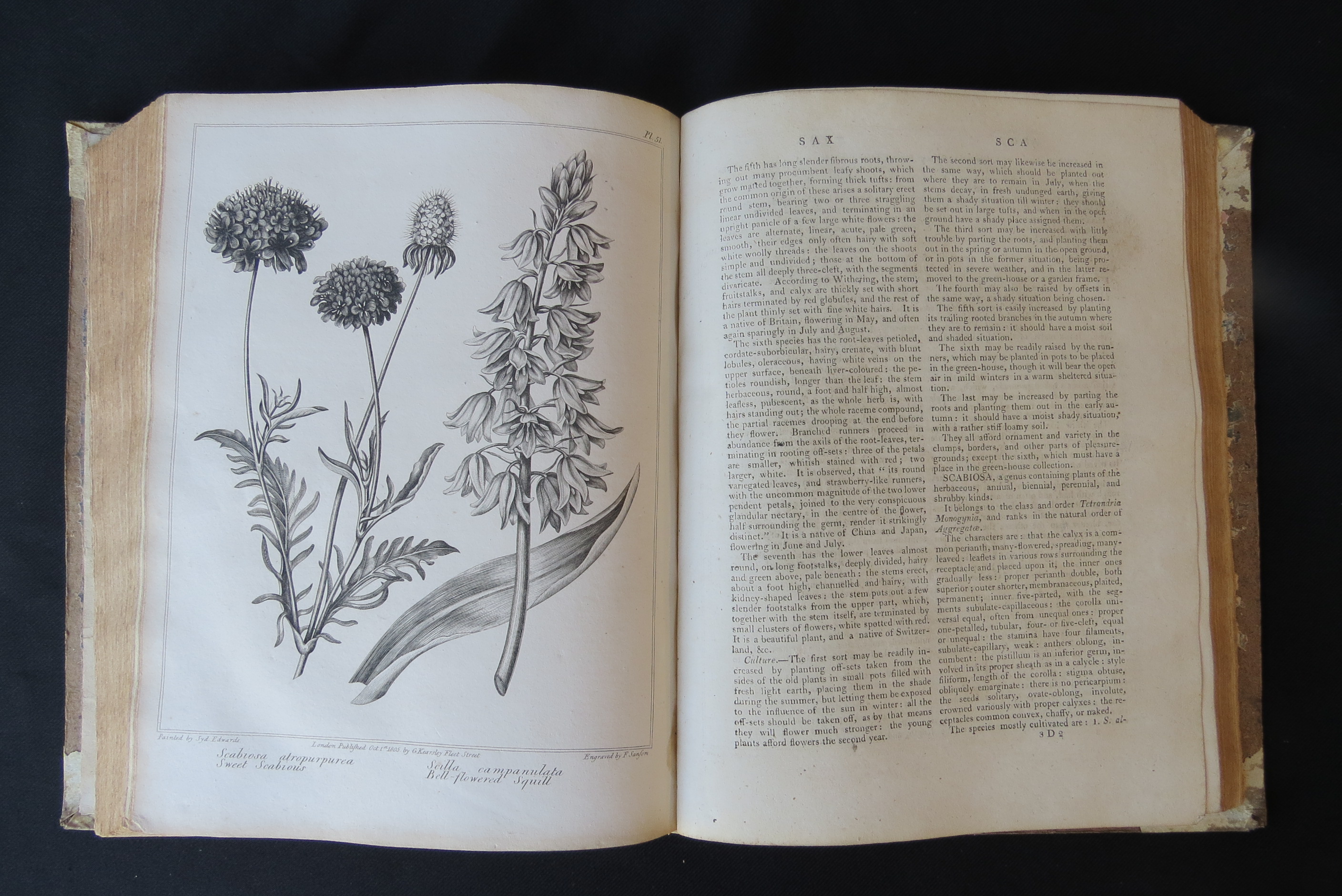 Alexander McDonald: 'A Complete Dictionary of Practical Gardening', London, George Kearsley, 1807, - Bild 9 aus 31