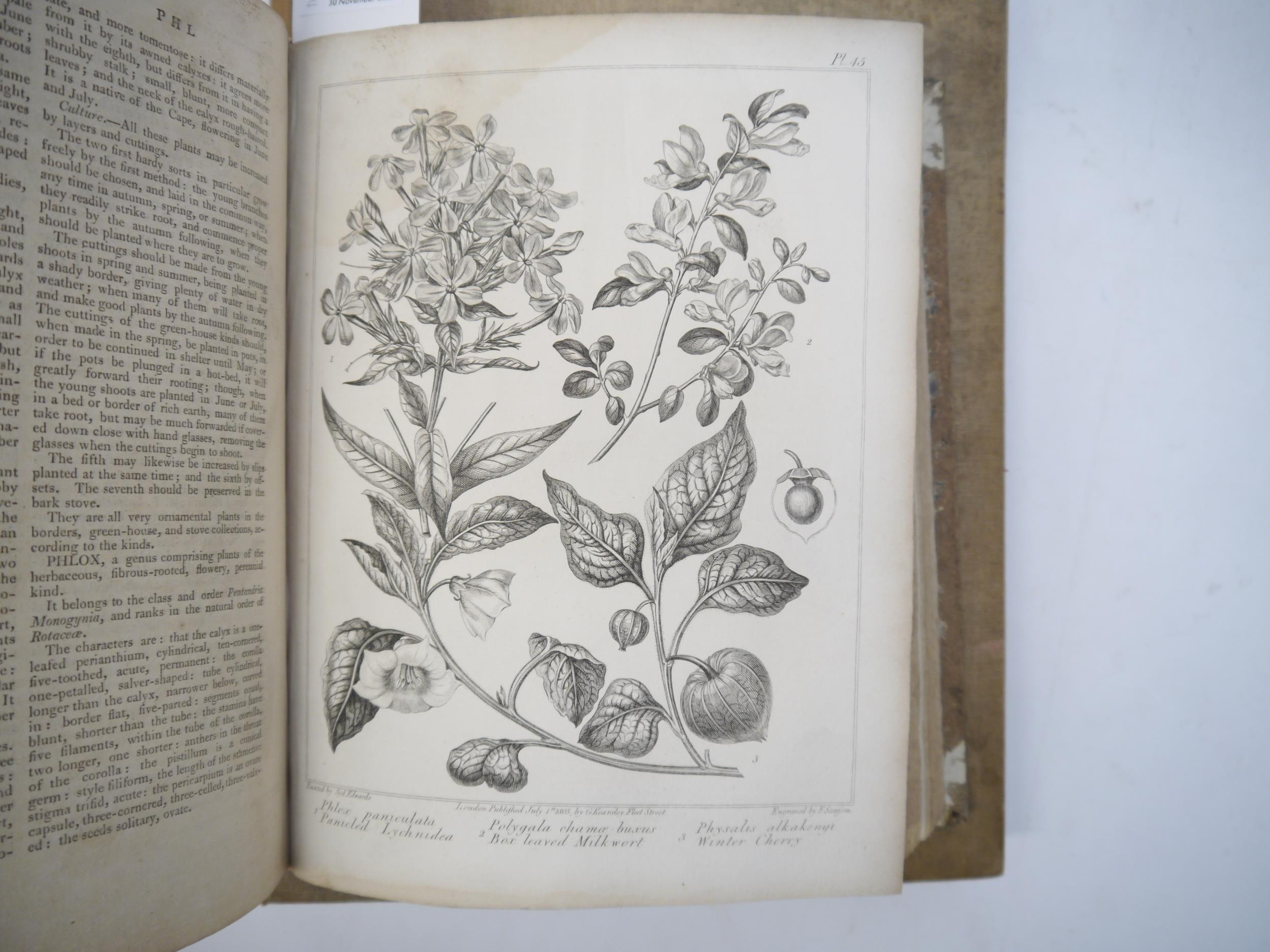 Alexander McDonald: 'A Complete Dictionary of Practical Gardening', London, George Kearsley, 1807, - Bild 3 aus 31