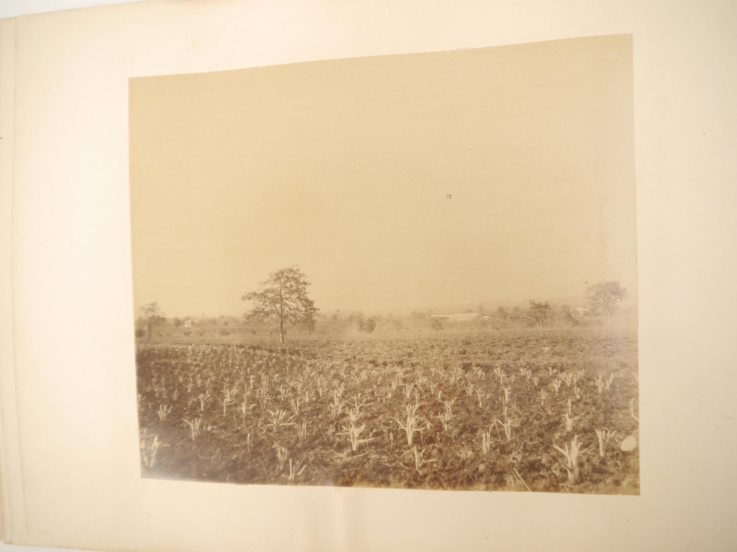 A victorian photograph album circa 1860's/ 70's containing approx 75 mounted albumen print - Bild 35 aus 40