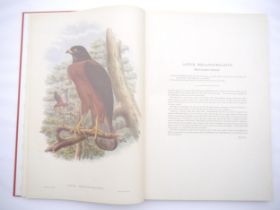 John Gould & R. R. Bowdler Sharpe: 'The Birds of New Guinea and the Adjacent Papuan Islands,