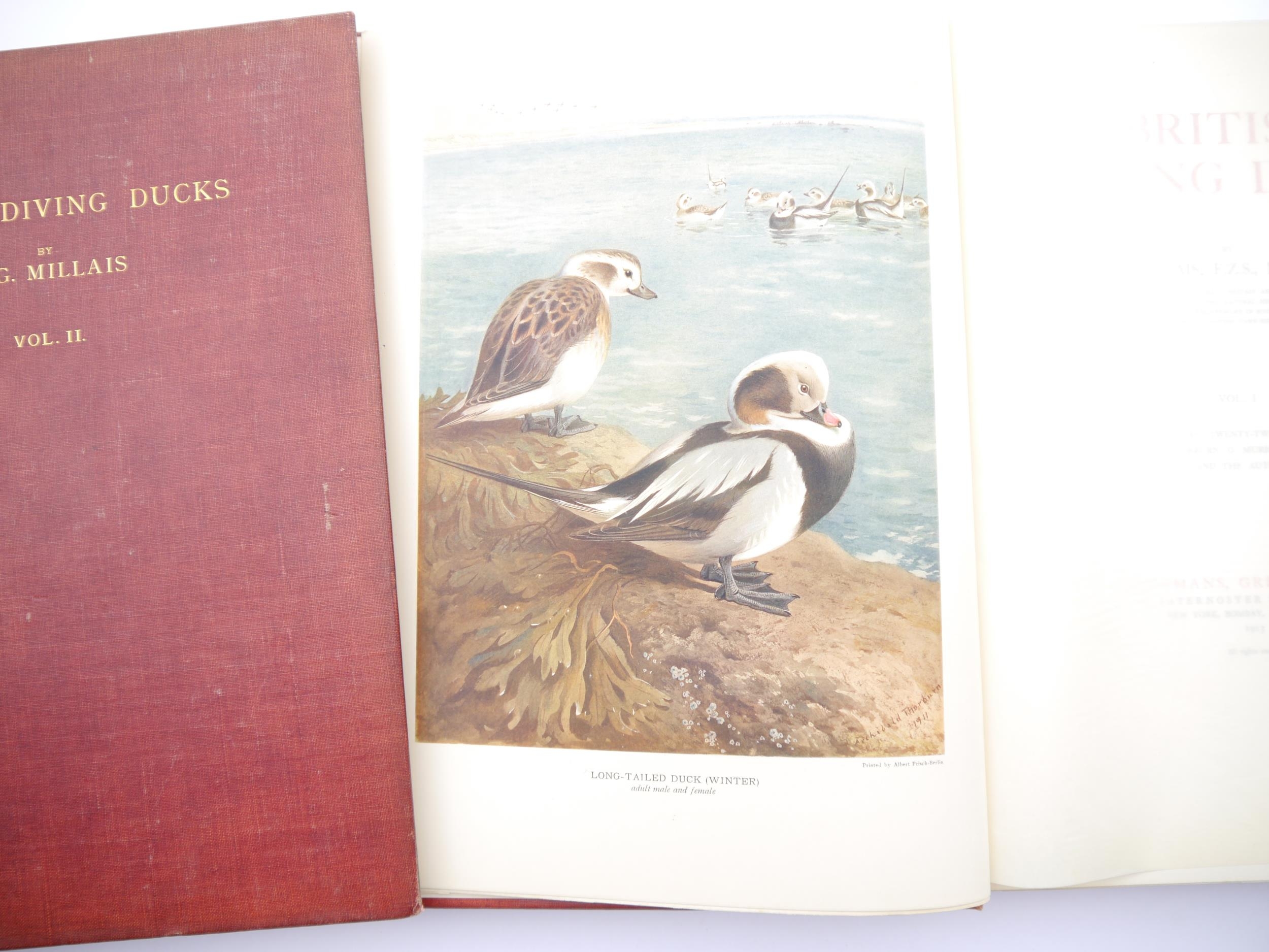 John Guille Millais: 'British Diving Ducks', London, Longmans, Green and Co., 1913, 1st edition,