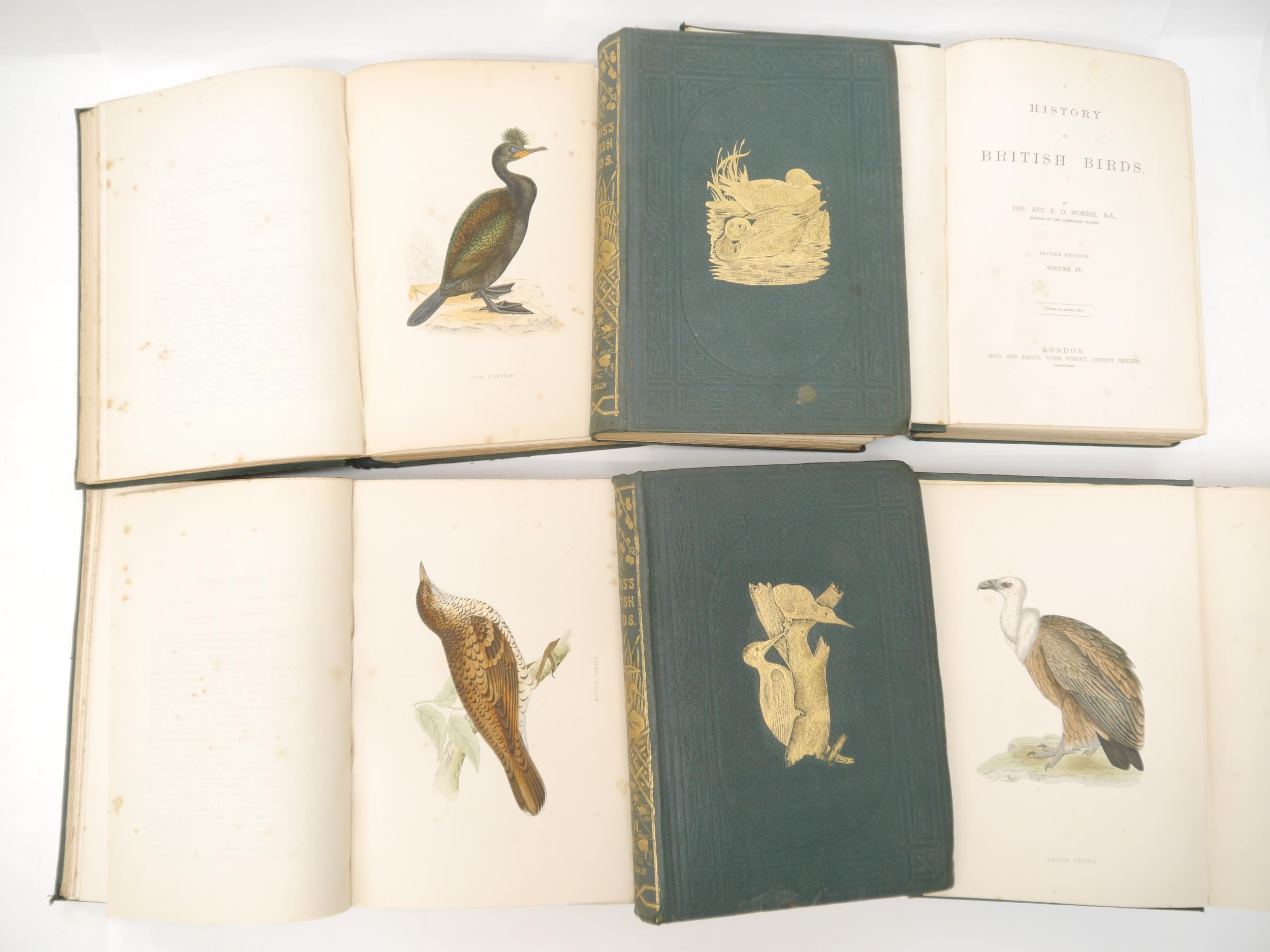 F.O. Morris: 'A History of British Birds', London, Bell & Daldy, 1870, 2nd edition, 365 coloured - Image 3 of 3