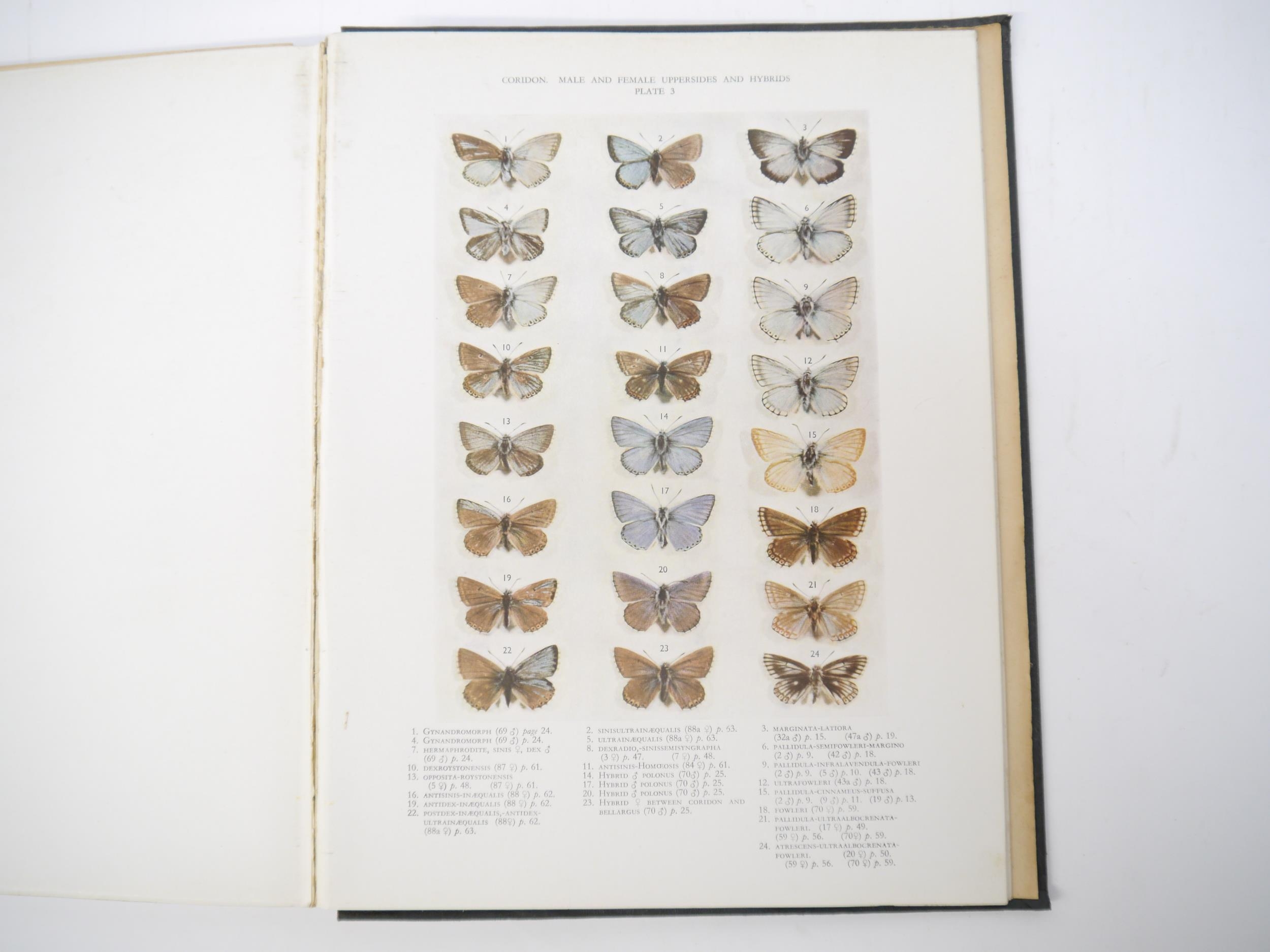 (Butterflies, Lepidoptera.) P.M. Bright & H.A. Leeds: 'A Monograph of The British Aberrations of the - Image 2 of 3