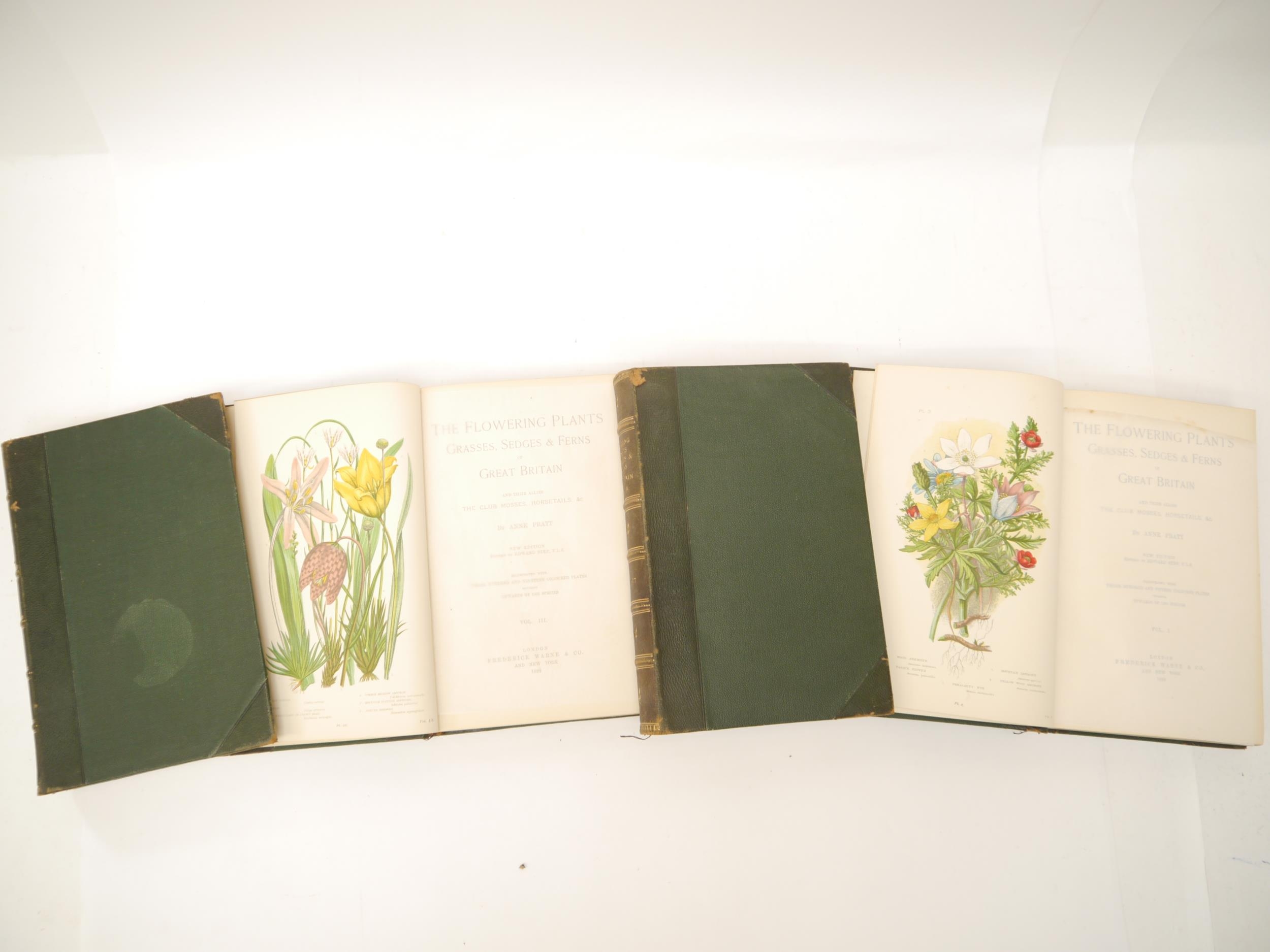 Anne Pratt: 'The Flowering Plants, Grasses, Sedges & Ferns of Great Britain', London, Frederick - Image 2 of 2