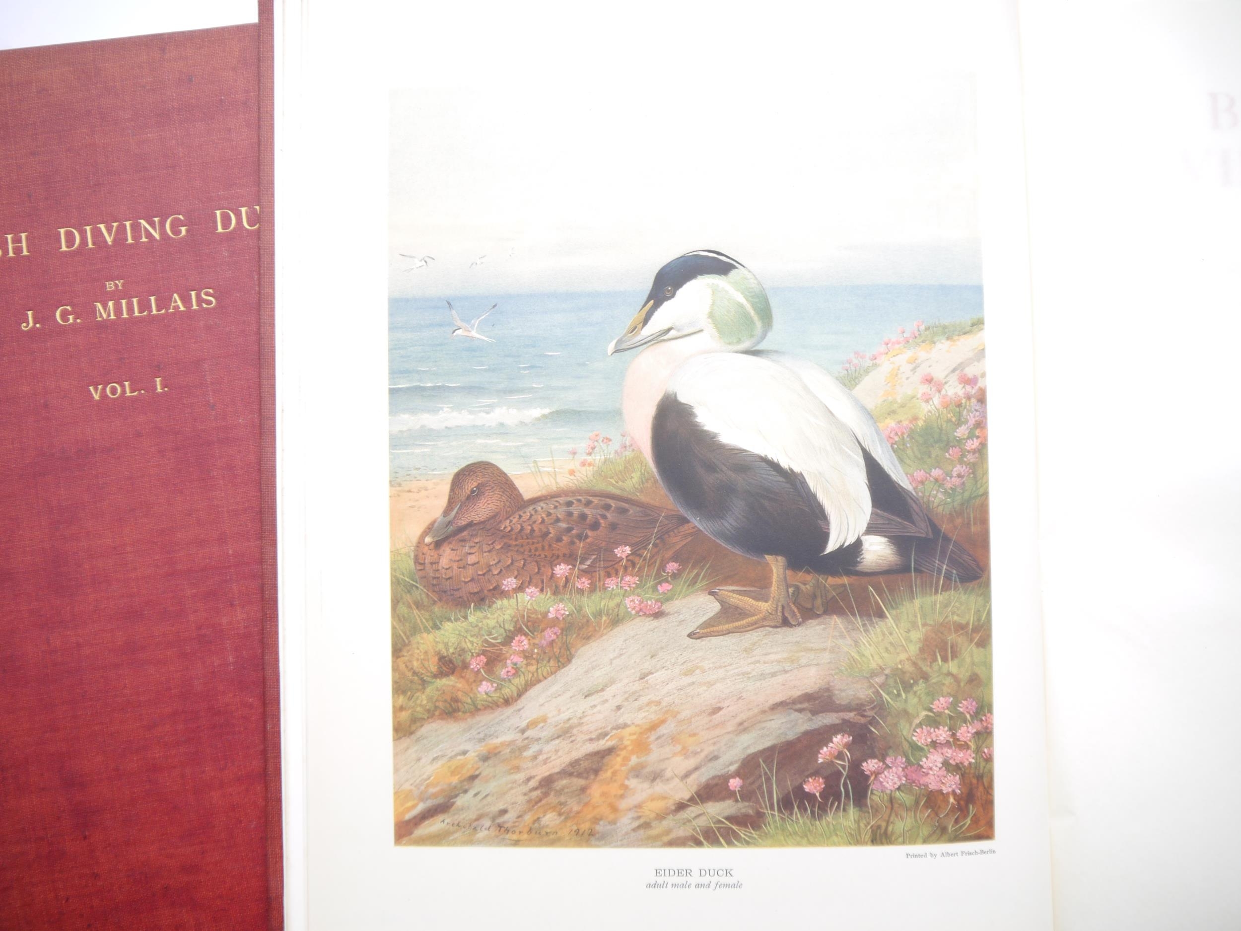 John Guille Millais: 'British Diving Ducks', London, Longmans, Green and Co., 1913, 1st edition, - Image 3 of 8