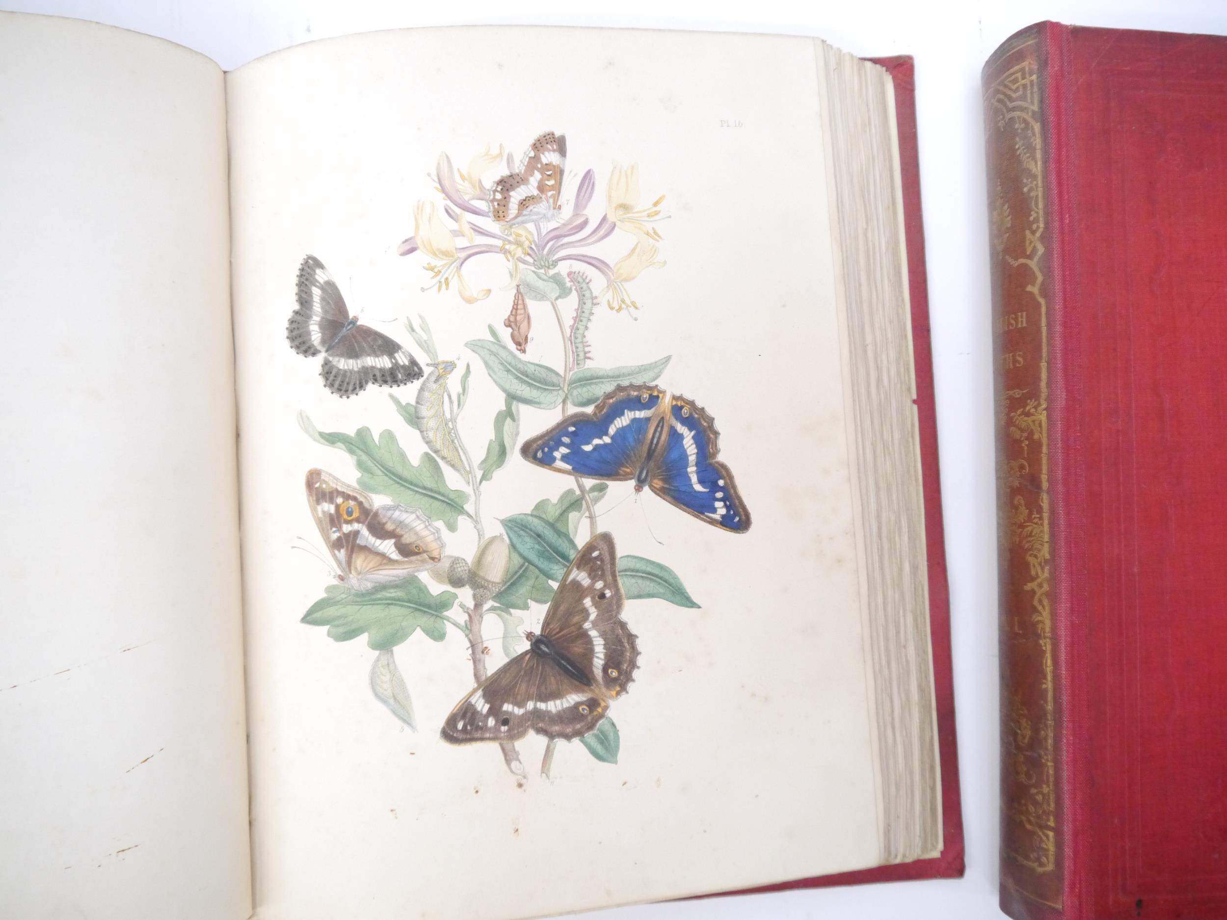(Butterflies & Moths, Lepidoptera.) John Obadiah Westwood & Henry Noel Humphreys: 'British - Image 3 of 9