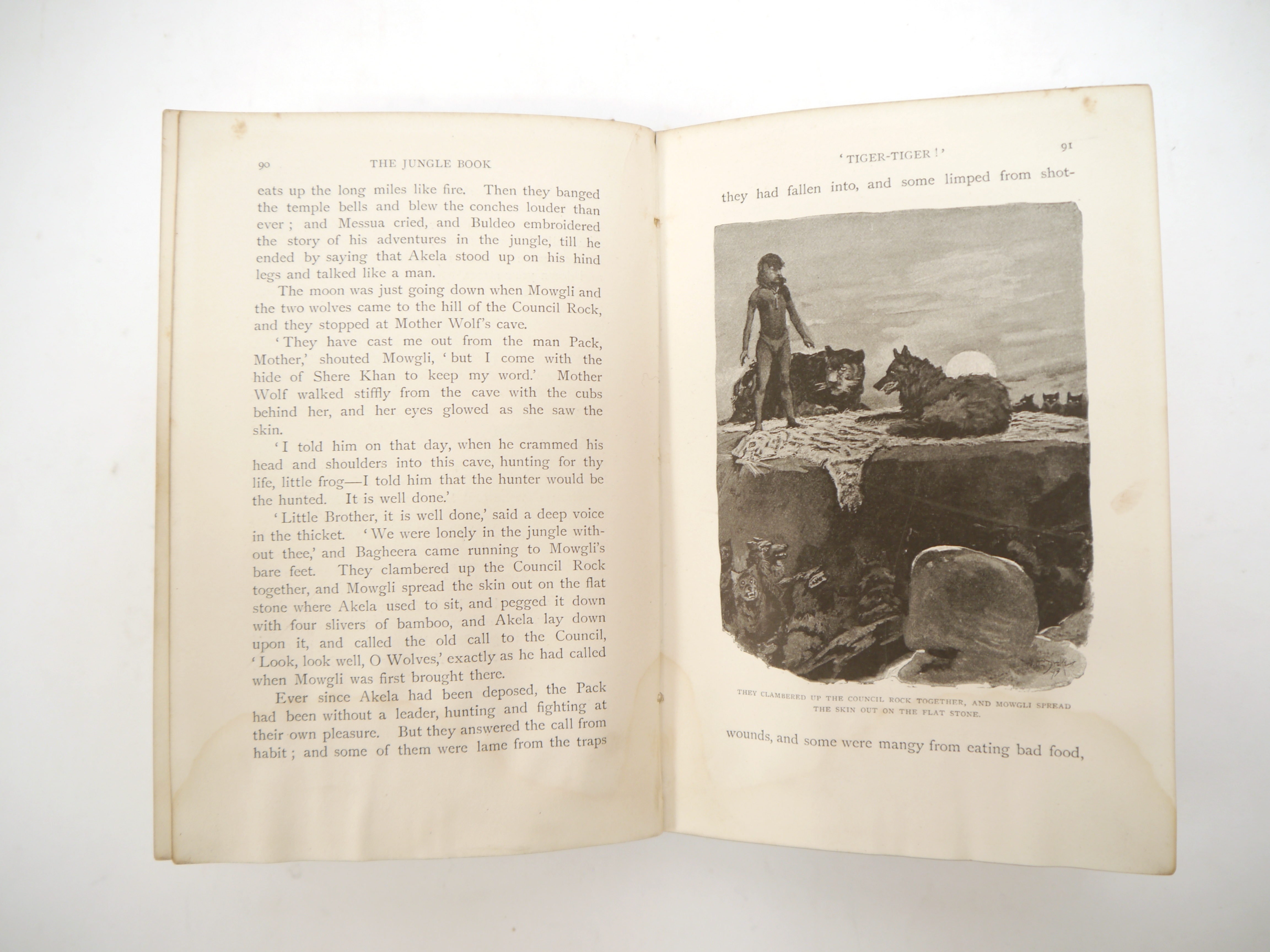 Rudyard Kipling: 'The Jungle Book', London, Macmillan, June 1894, 2nd printing, black & white - Bild 4 aus 5