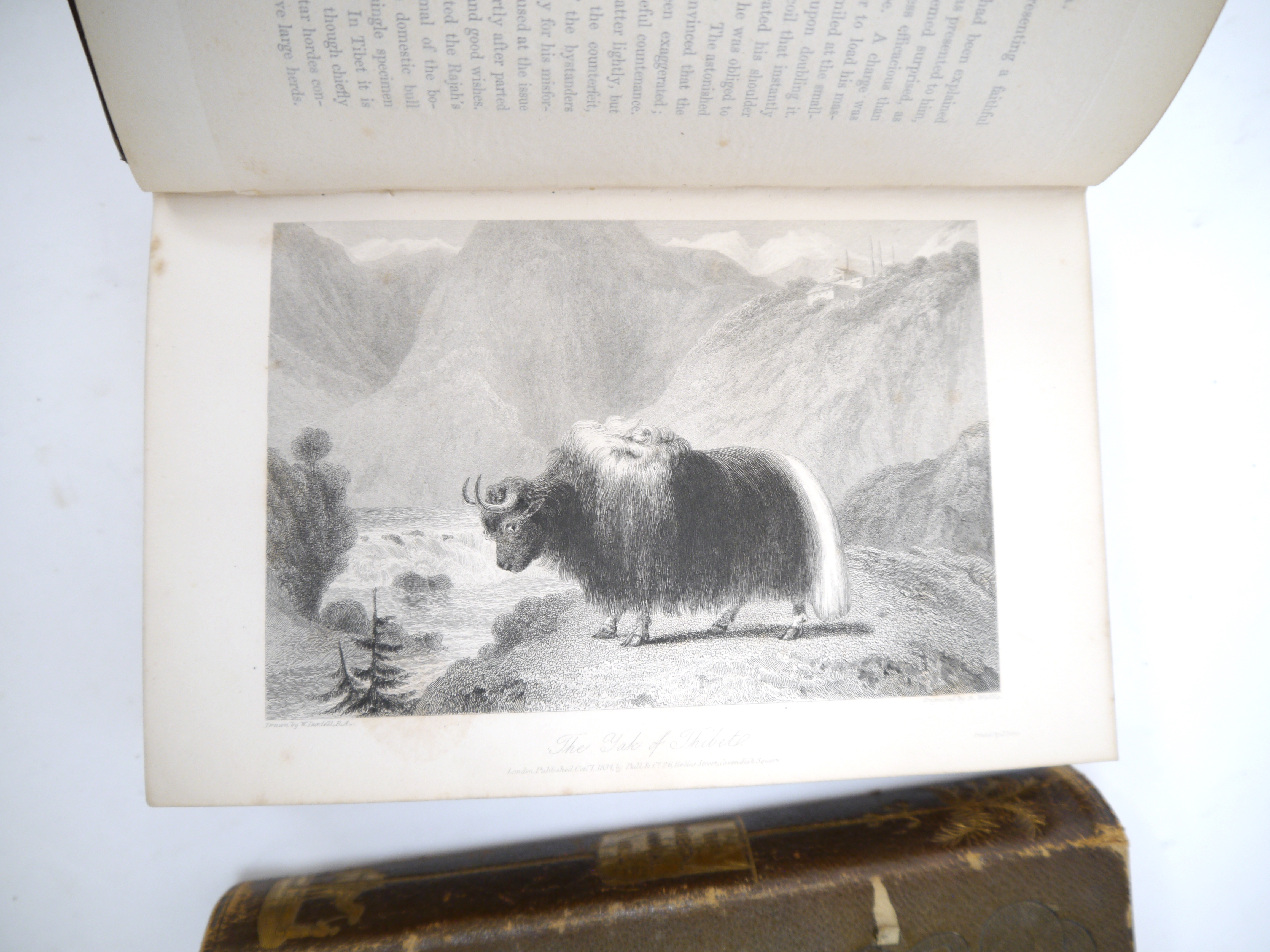 (India.) William Daniell (ill.); Hobert Caunter: 'The Oriental Annual, Or Scenes in India.', London, - Image 15 of 17