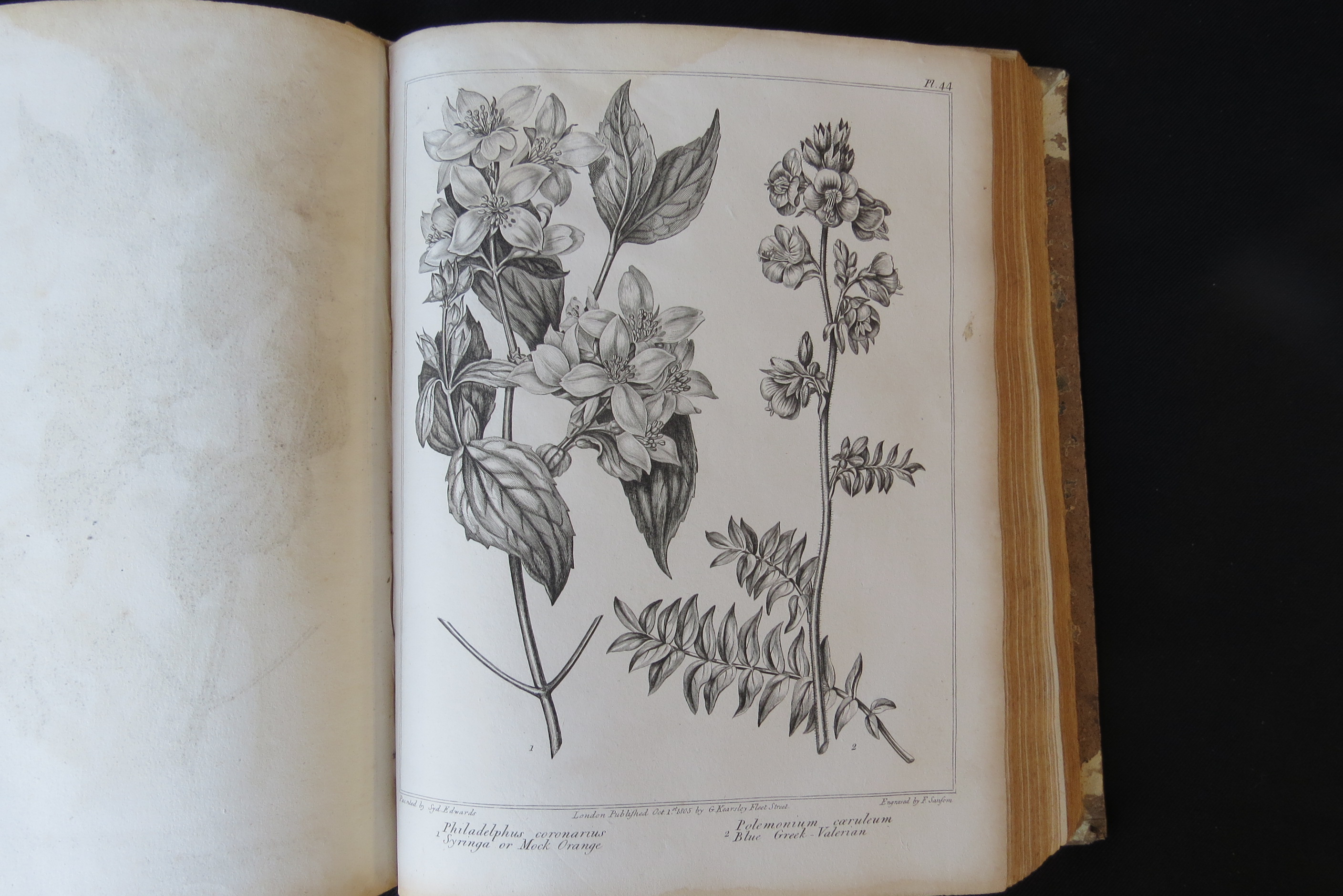 Alexander McDonald: 'A Complete Dictionary of Practical Gardening', London, George Kearsley, 1807, - Bild 22 aus 31