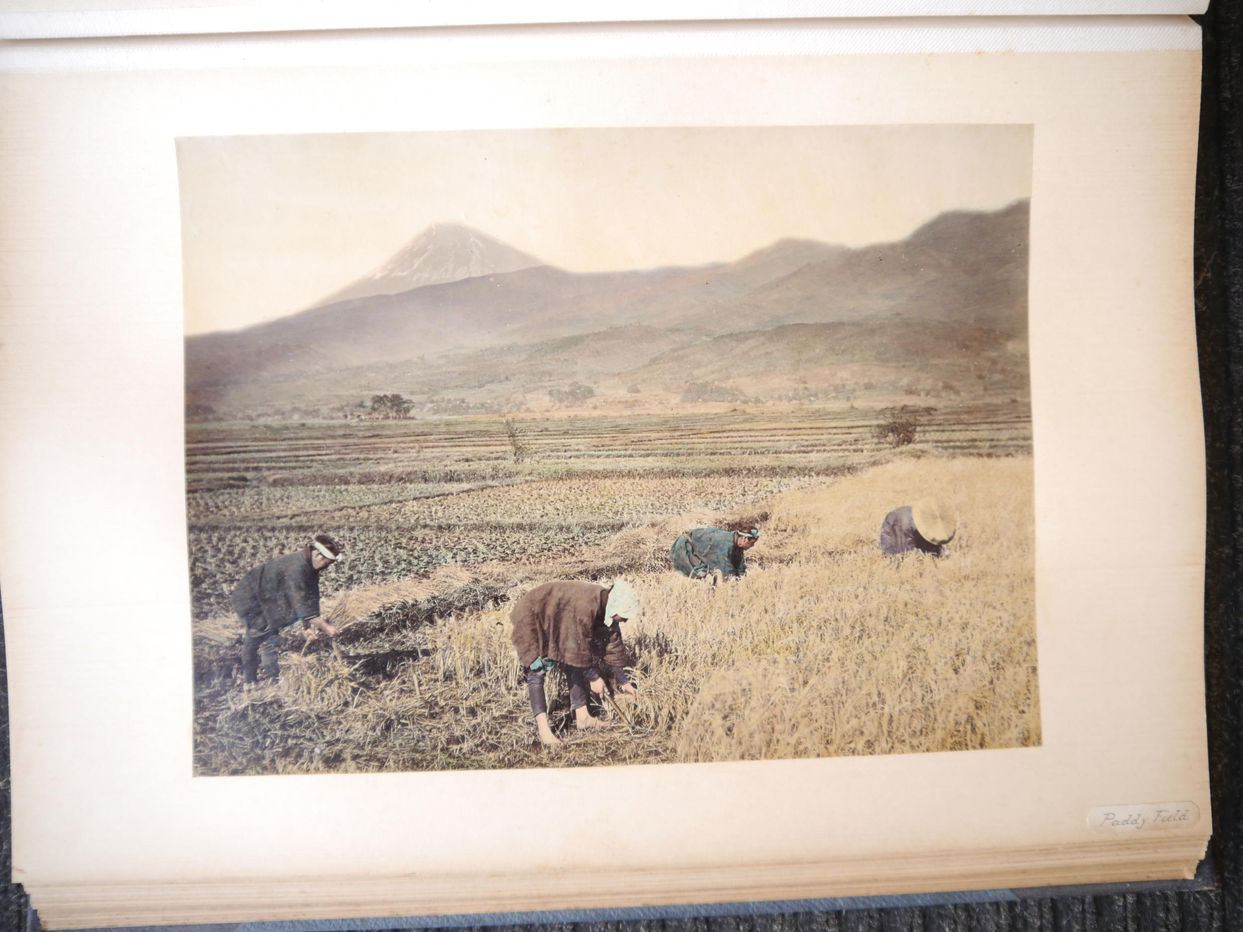 (Lai Afong, China, Canton, Hong Kong, Singapore, Asia.) Three large photograph albums containing - Image 66 of 86