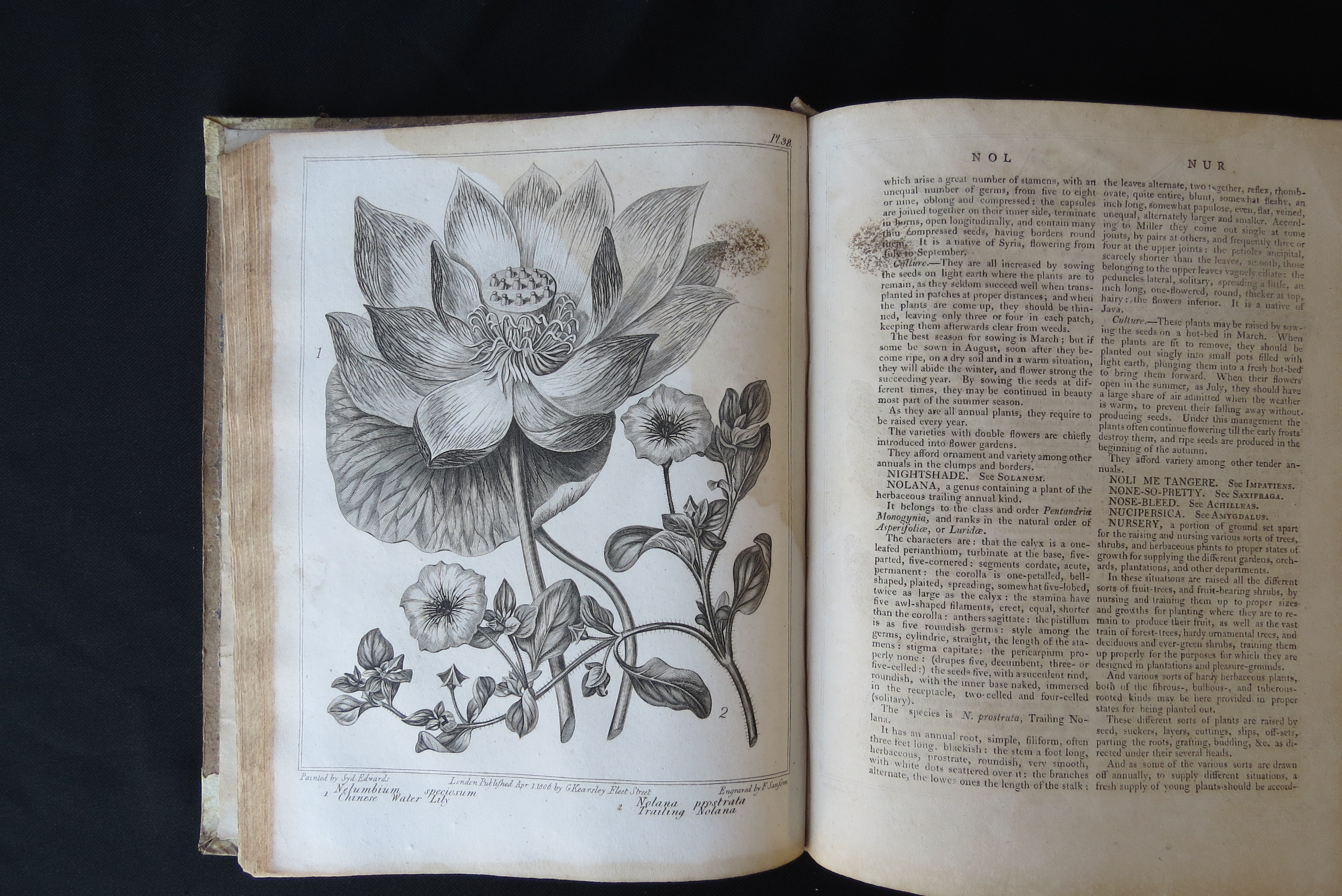 Alexander McDonald: 'A Complete Dictionary of Practical Gardening', London, George Kearsley, 1807, - Bild 20 aus 31