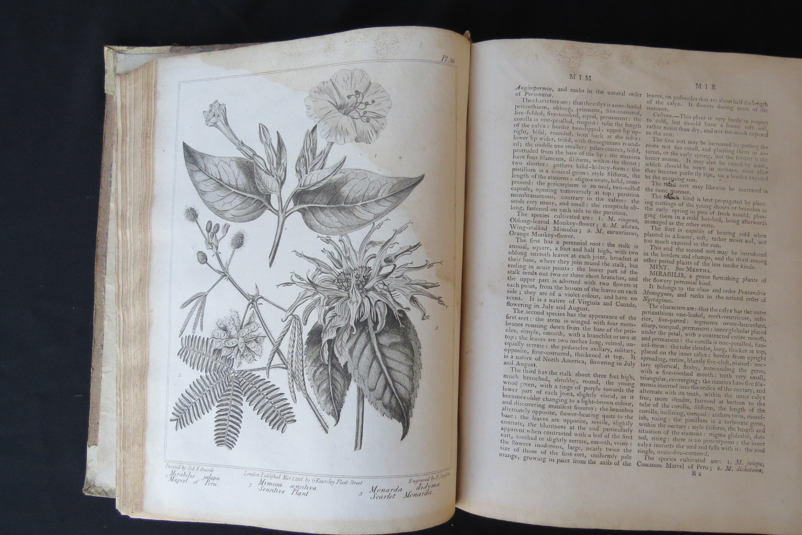 Alexander McDonald: 'A Complete Dictionary of Practical Gardening', London, George Kearsley, 1807, - Bild 19 aus 31