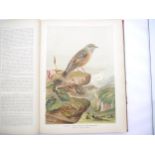 (Ornithology, J.G. Keulemans.) Johann Andreas Naumann; Carl Richard Hennicke & others (ed.): '