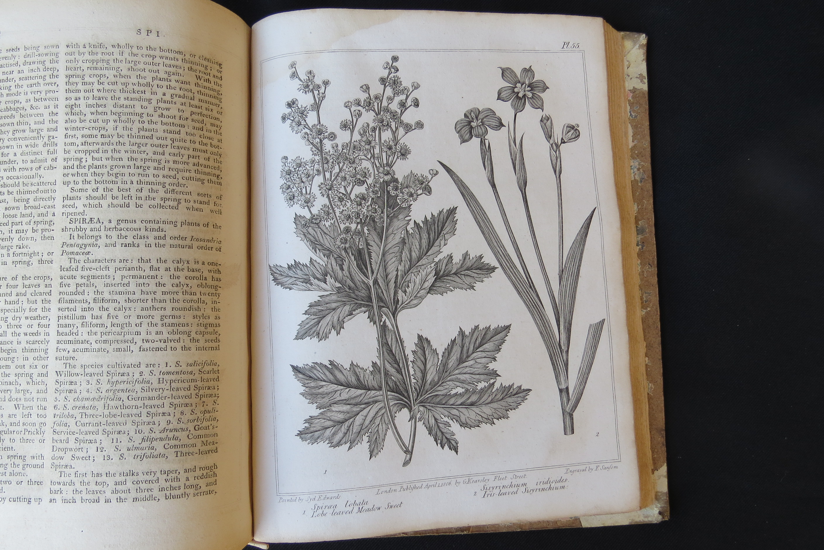 Alexander McDonald: 'A Complete Dictionary of Practical Gardening', London, George Kearsley, 1807, - Bild 12 aus 31