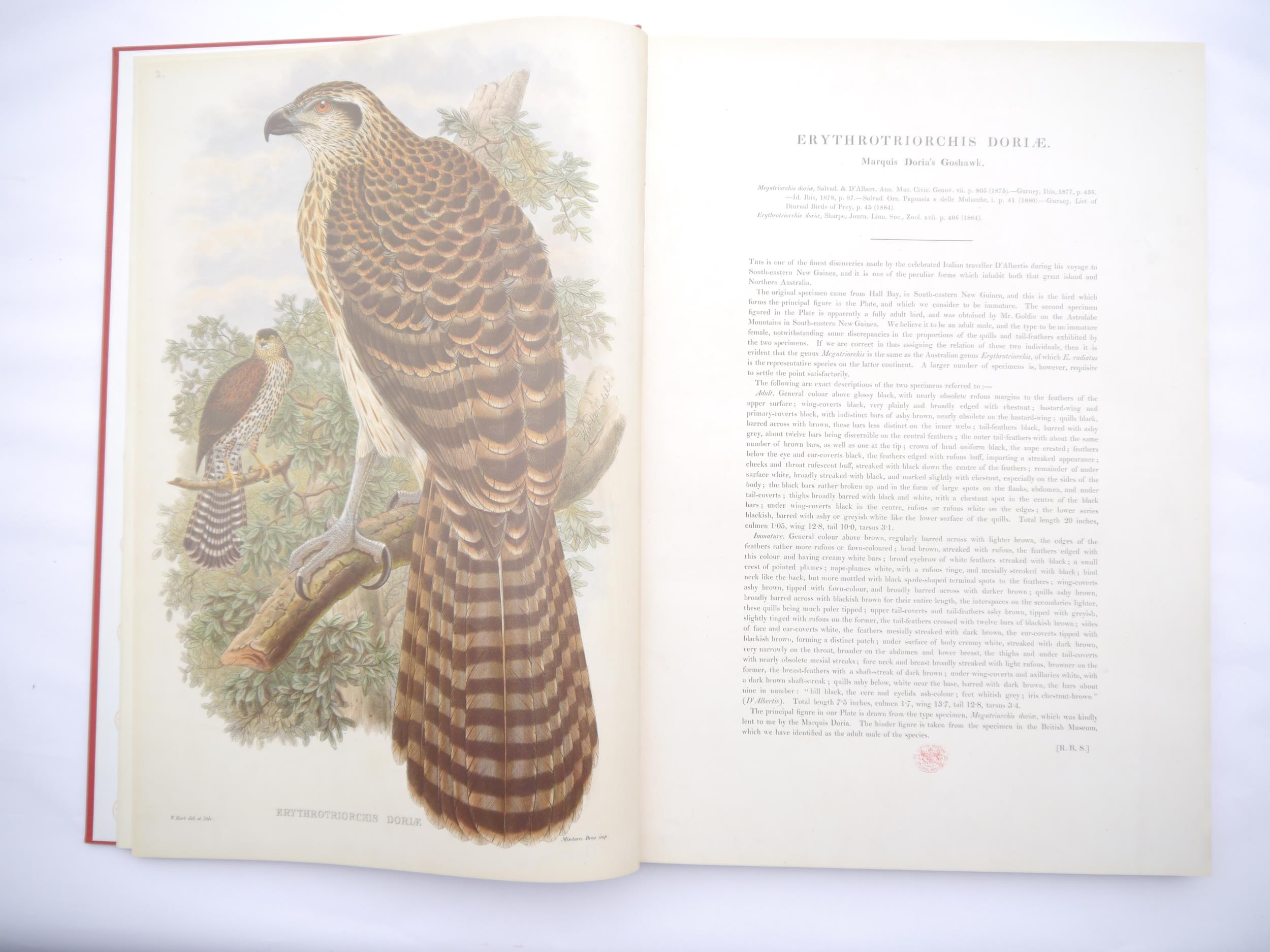 John Gould & R. R. Bowdler Sharpe: 'The Birds of New Guinea and the Adjacent Papuan Islands, - Bild 2 aus 6