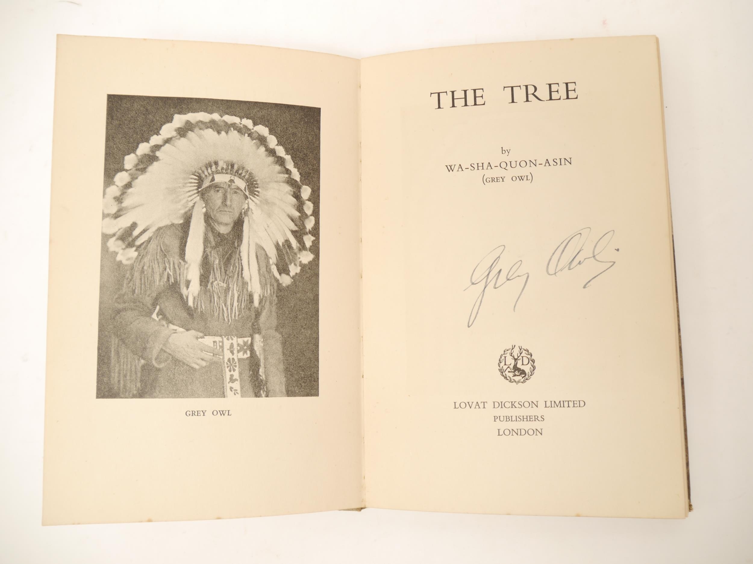 Grey Owl [i.e. Archibald Stansfeld Belaney]: 'The Tree', London, Lovat Dickson, 1937, 1st separate