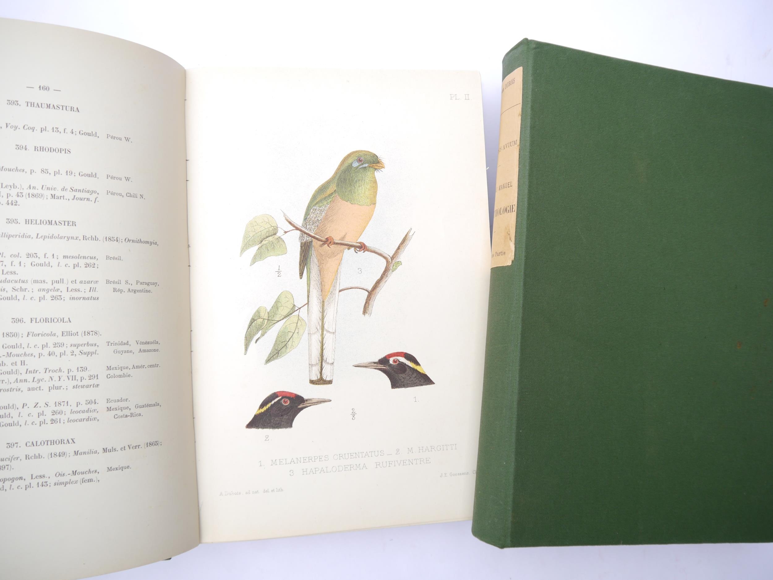 Alphonse Dubois: 'Synopsis Avium - Nouveau Manuel D'Ornithologie', Brussels, H. Lamertin, 1902-1904, - Bild 2 aus 5
