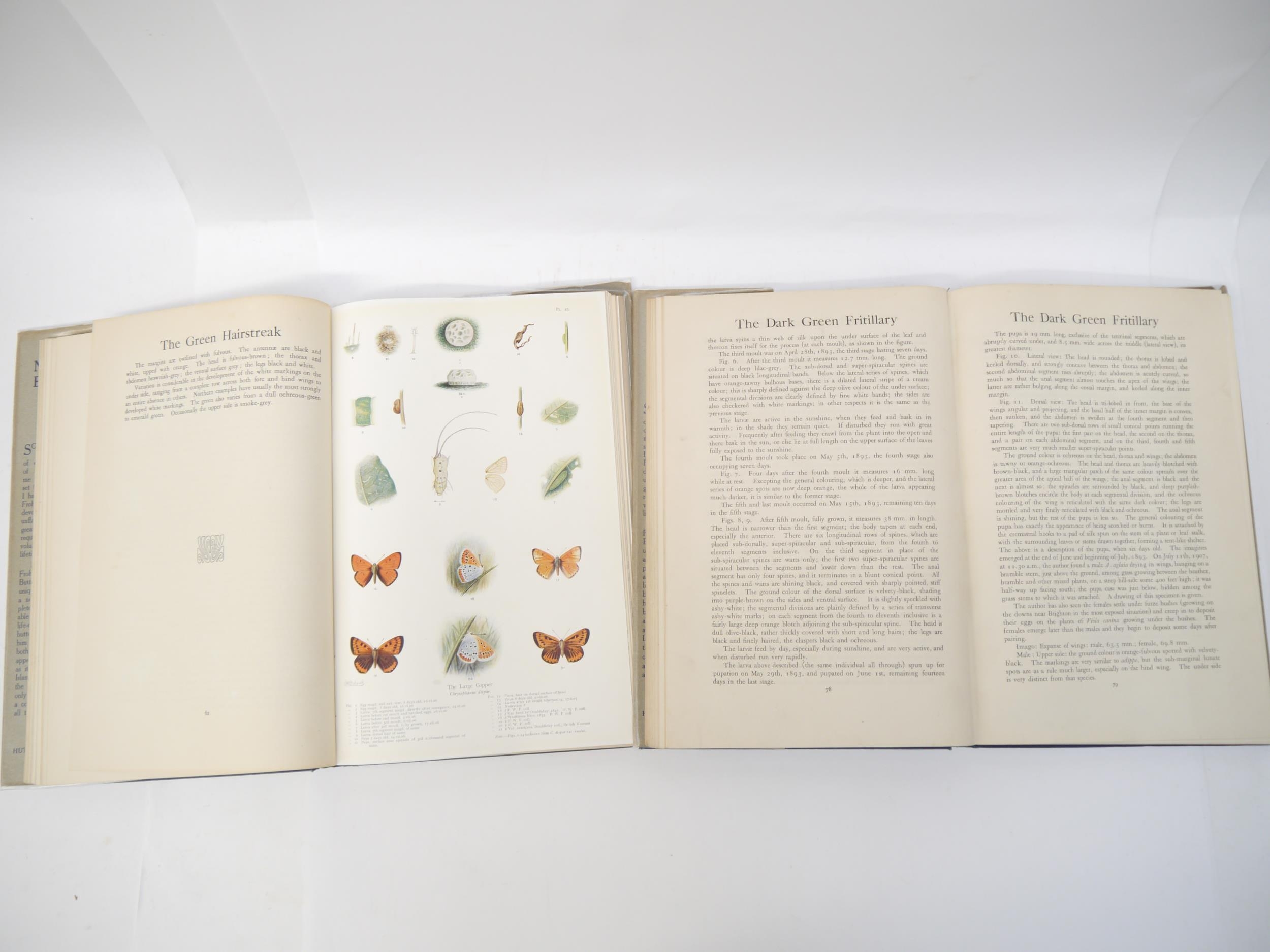 Frederick William Frohawk: 'Natural History of British Butterflies', London, Hutchinson, [1914], 1st - Image 2 of 11