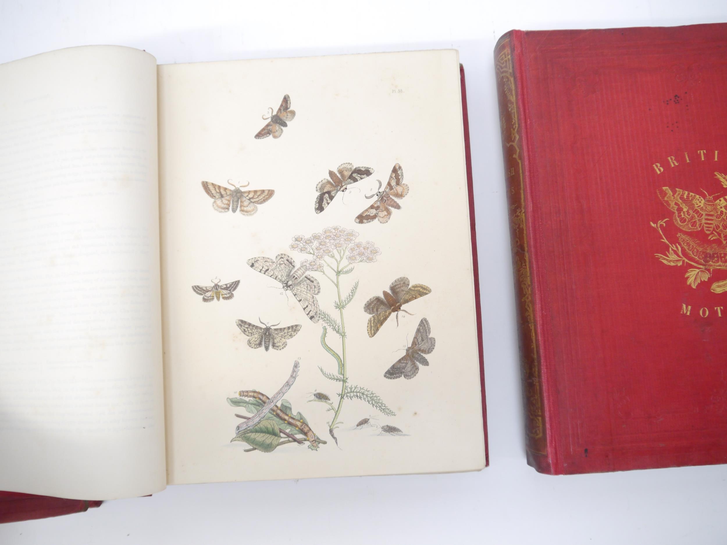 (Butterflies & Moths, Lepidoptera.) John Obadiah Westwood & Henry Noel Humphreys: 'British - Image 6 of 9