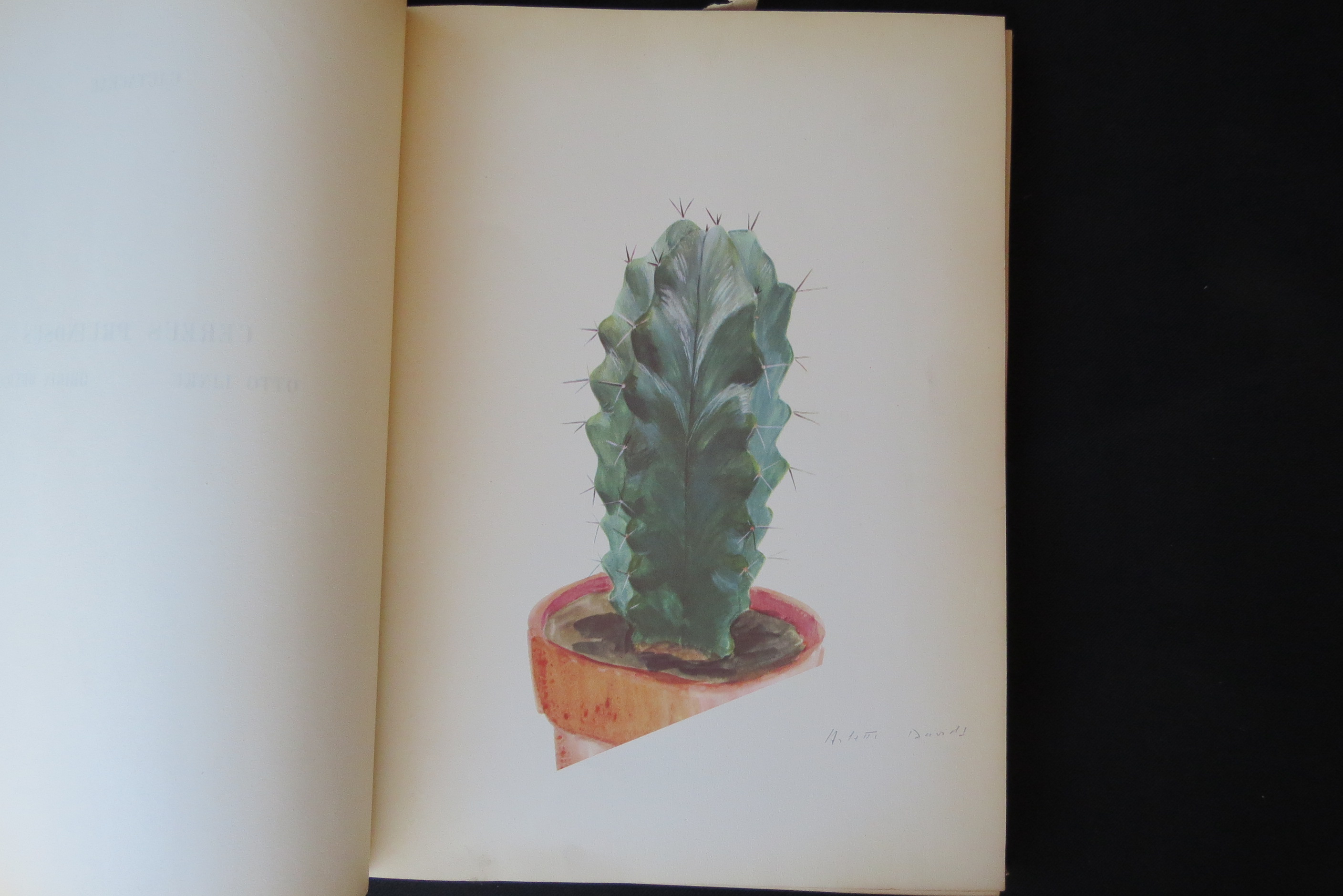 Alexander McDonald: 'A Complete Dictionary of Practical Gardening', London, George Kearsley, 1807, - Bild 24 aus 31