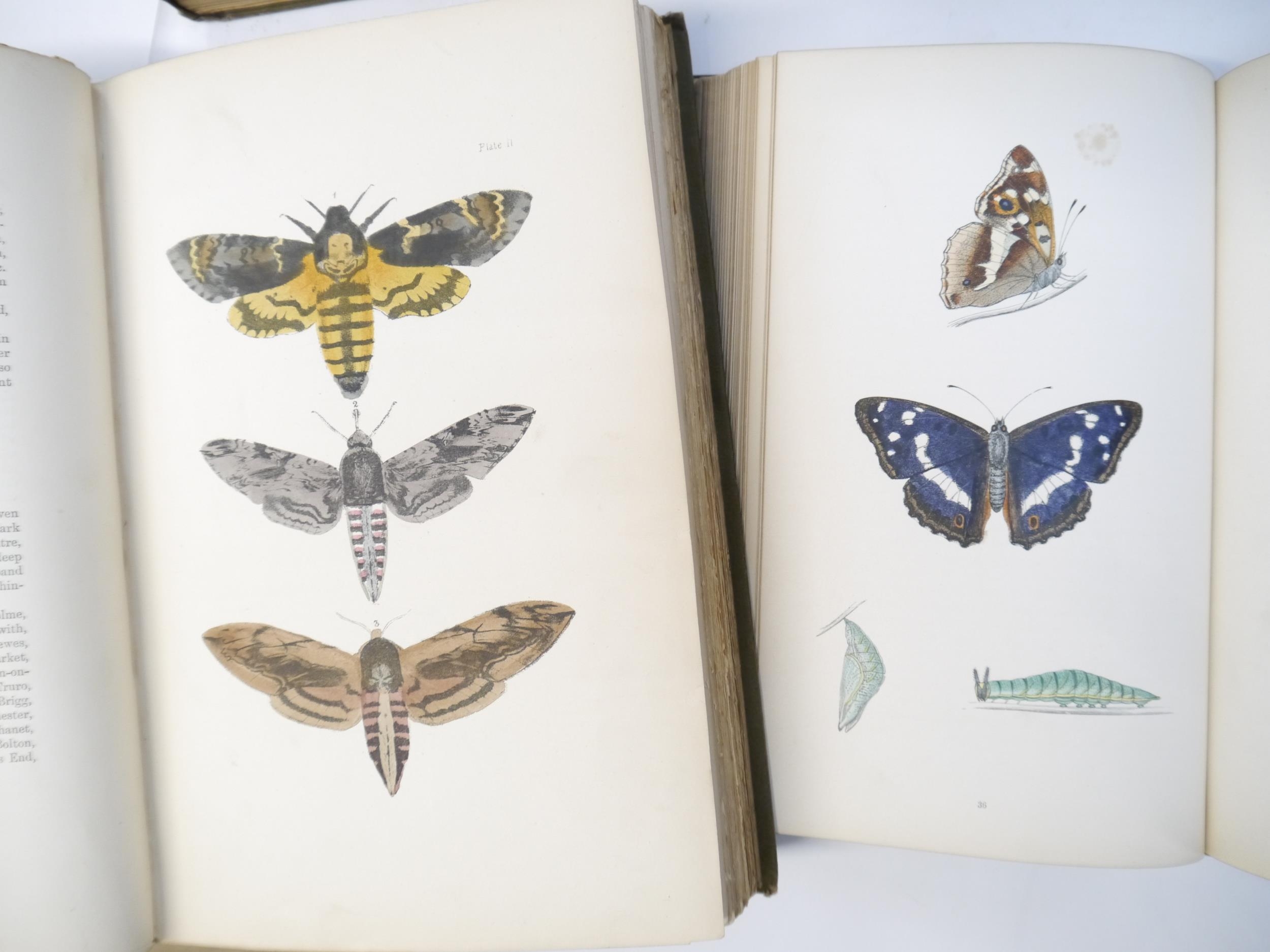 (Butterflies & Moths, Lepidoptera.) Henry Noel Humphreys: 'The Genera and Species of British - Image 10 of 10