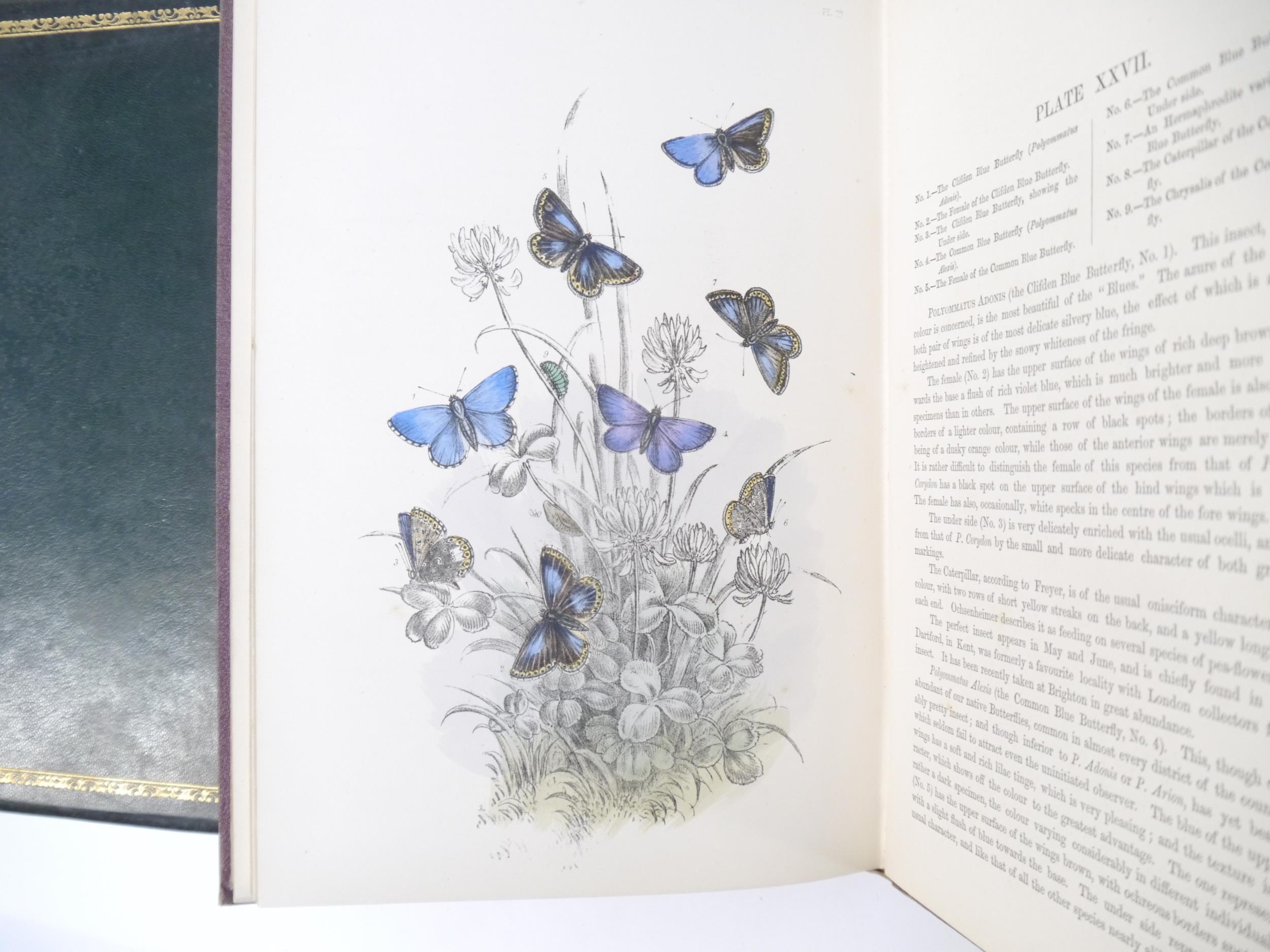 (Butterflies & Moths, Lepidoptera.) Henry Noel Humphreys: 'The Genera and Species of British - Image 8 of 10