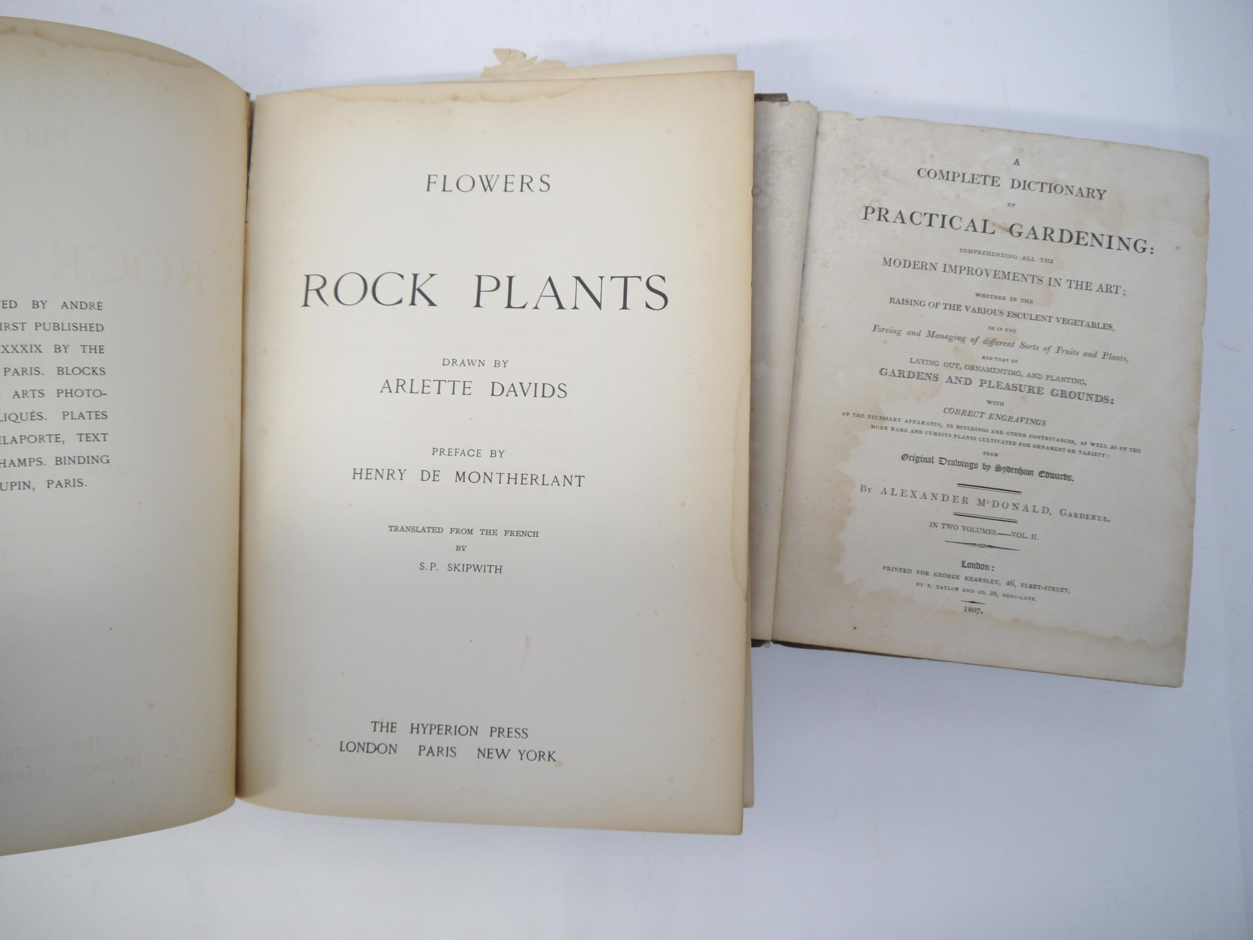 Alexander McDonald: 'A Complete Dictionary of Practical Gardening', London, George Kearsley, 1807, - Bild 2 aus 31