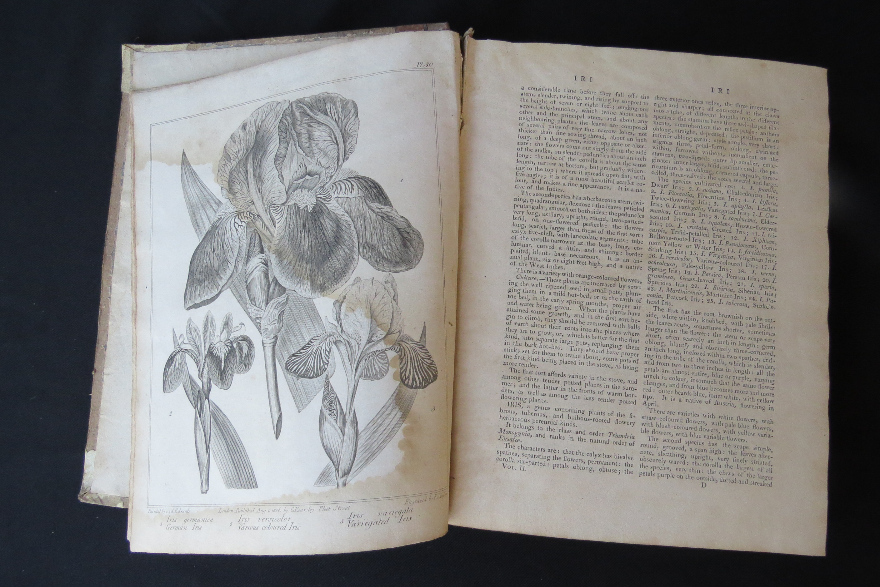 Alexander McDonald: 'A Complete Dictionary of Practical Gardening', London, George Kearsley, 1807, - Bild 23 aus 31