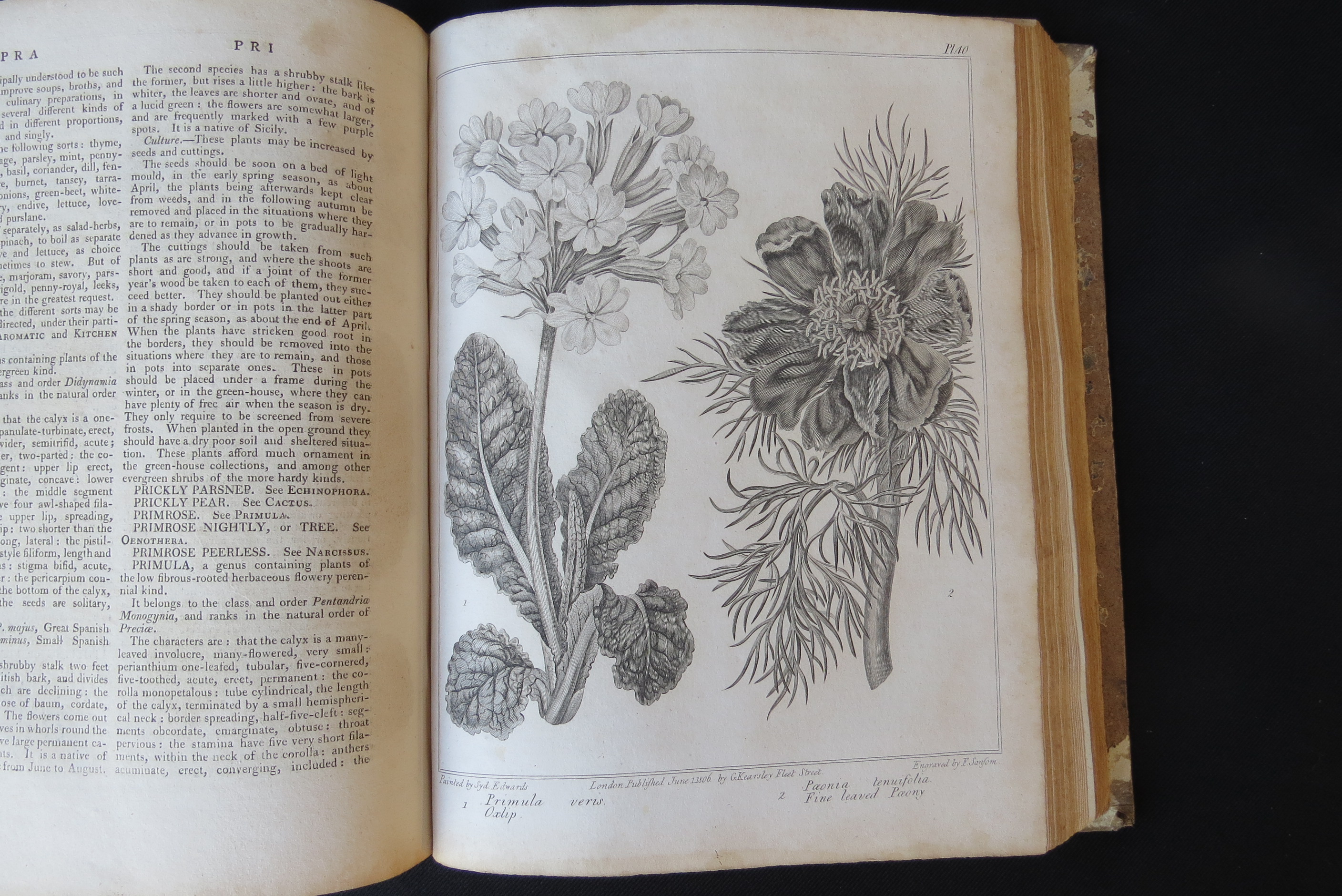 Alexander McDonald: 'A Complete Dictionary of Practical Gardening', London, George Kearsley, 1807, - Bild 5 aus 31
