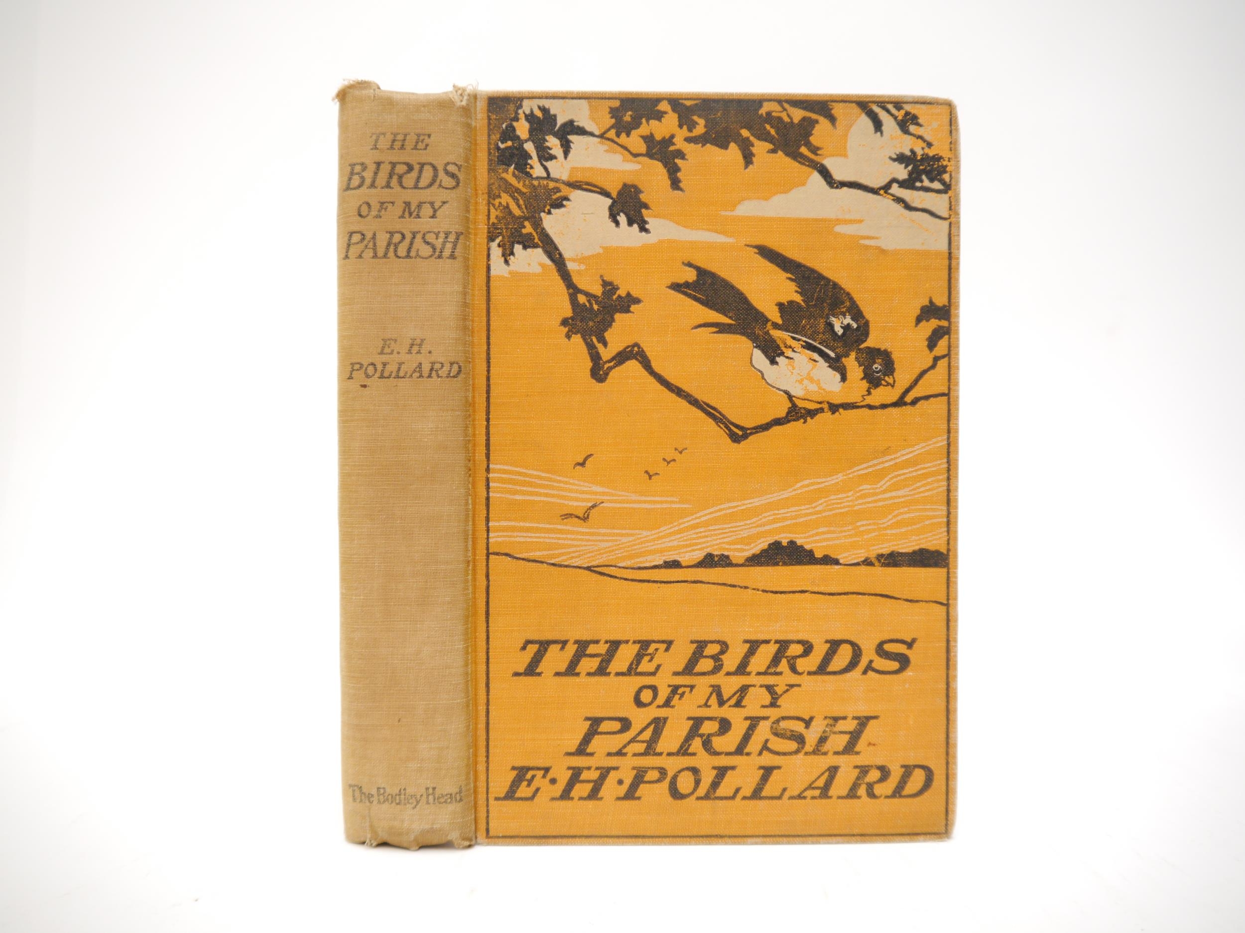 Evelyn H. Pollard: 'The Birds of My Parish [Hainford, Norfolk]', London, John Lane The Bodley