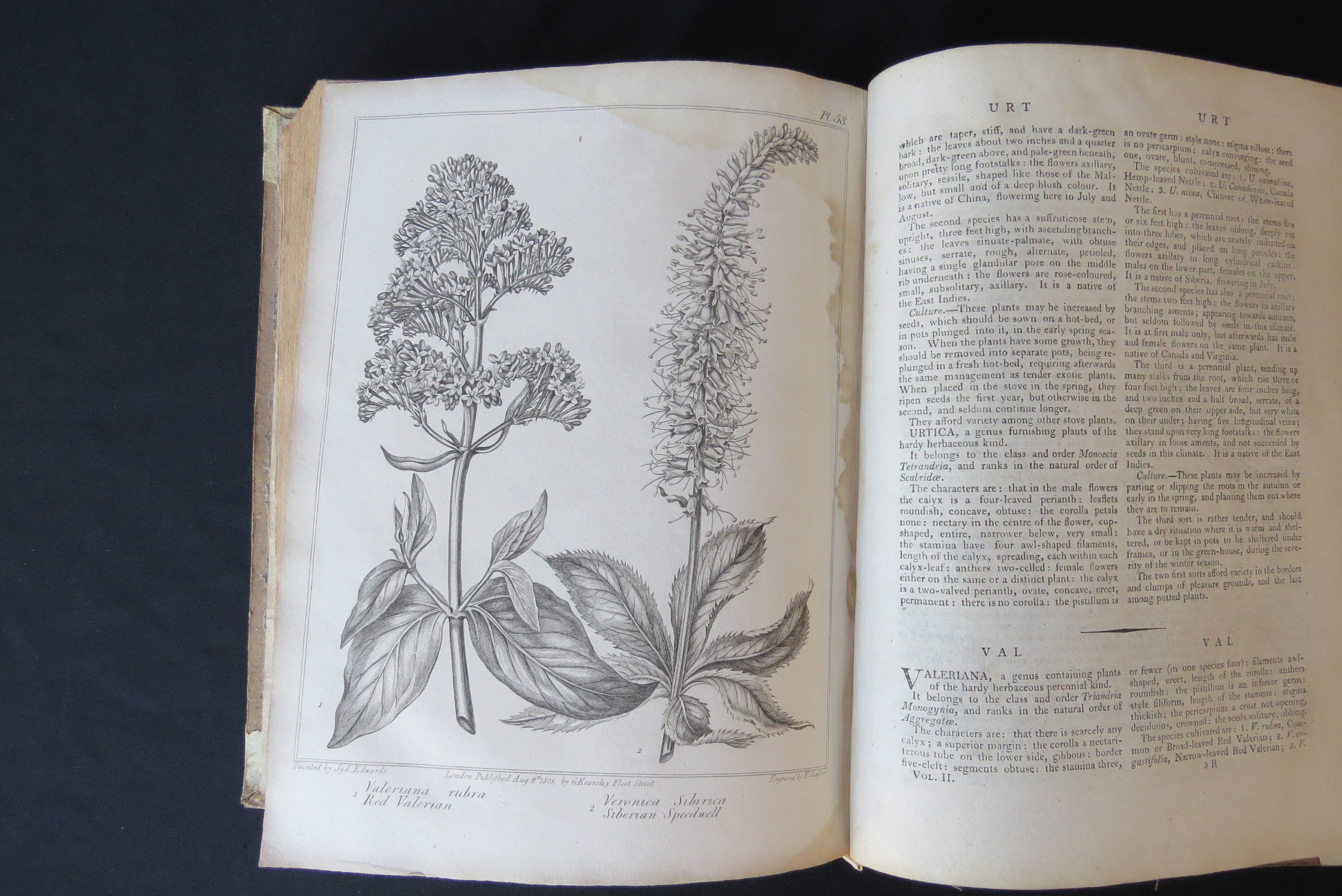 Alexander McDonald: 'A Complete Dictionary of Practical Gardening', London, George Kearsley, 1807, - Bild 17 aus 31