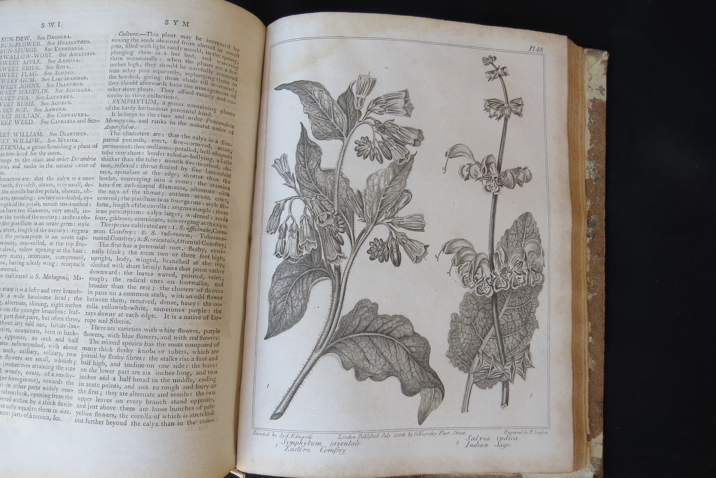 Alexander McDonald: 'A Complete Dictionary of Practical Gardening', London, George Kearsley, 1807, - Bild 13 aus 31