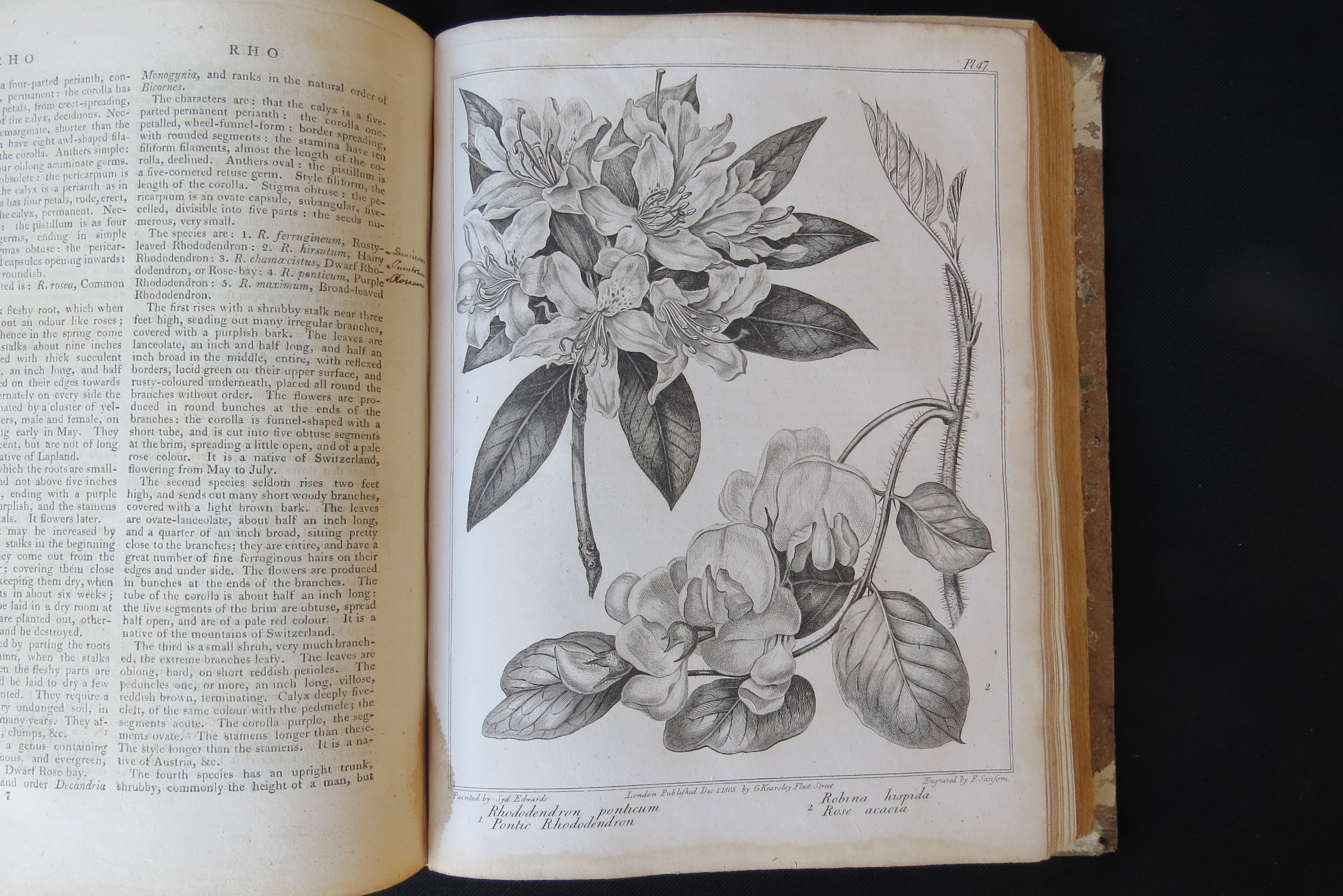 Alexander McDonald: 'A Complete Dictionary of Practical Gardening', London, George Kearsley, 1807, - Bild 6 aus 31