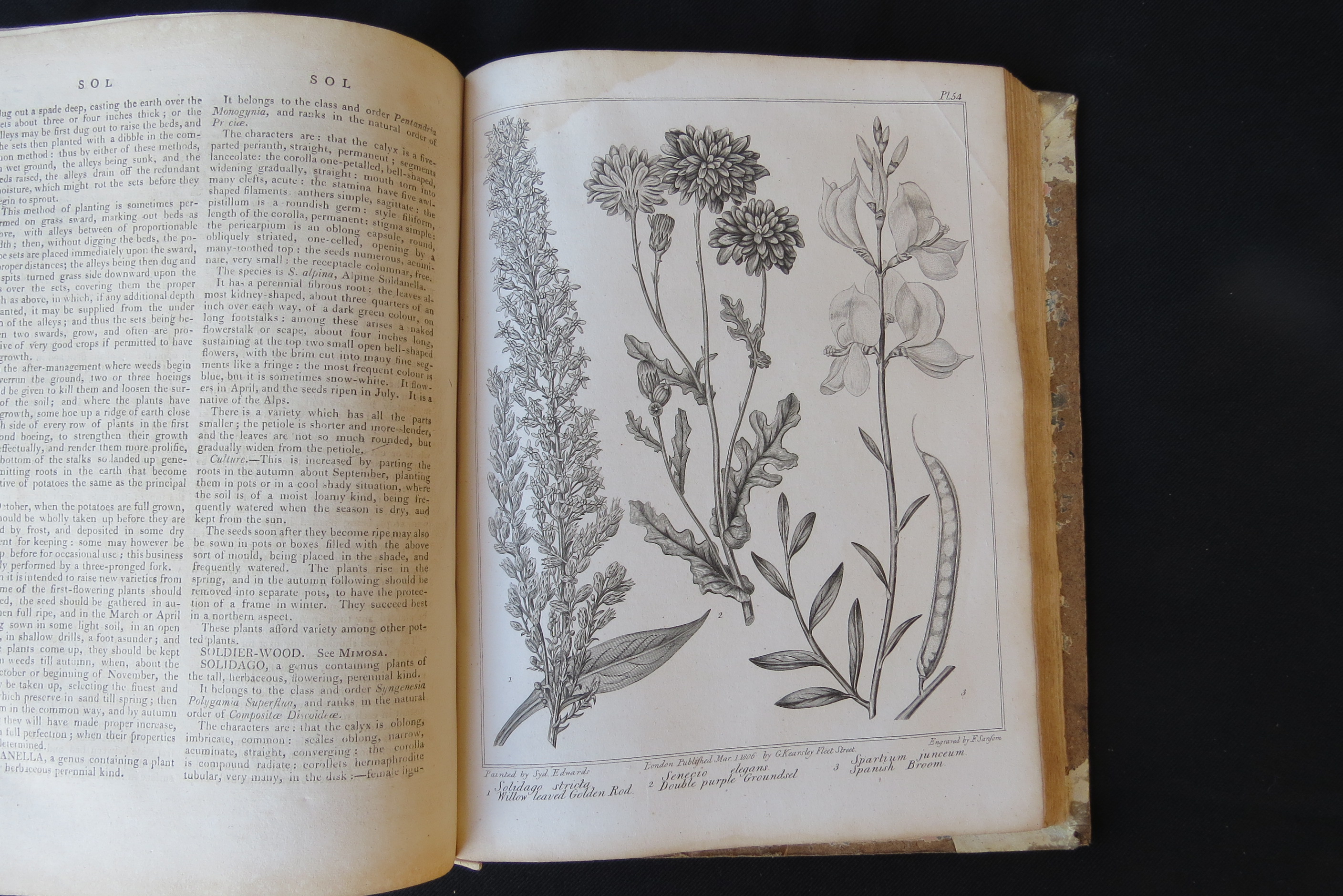 Alexander McDonald: 'A Complete Dictionary of Practical Gardening', London, George Kearsley, 1807, - Bild 11 aus 31