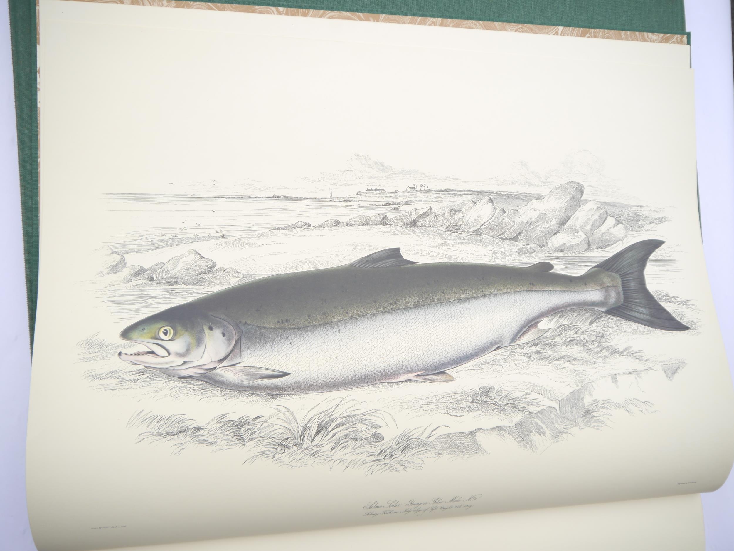 'British Salmonidae' by Sir William Jardine. Bart, elephant folio limited edition, one of 500 copies