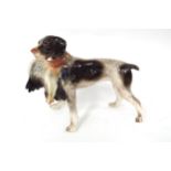 A porcelain German/Czech Republic ceramic figure of dog with duck in mouth mark to base. 24cm x 34cm