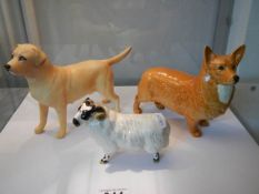 A trio of Beswick animals - A matt labrador, a glazed corgi and a glazed ram, all stamped