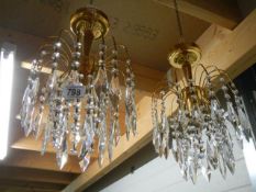 A set of four glass hanging hall lights, COLLECT ONLY.