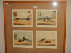 R. Ackermann, Four 19th century hand coloured/over painted cock fighting plates (in one frame)