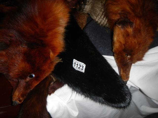 A quantity of old fox fur stoles etc., - Image 2 of 2