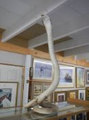 Taxidermy - a rearing cobra, COLLECT ONLY.