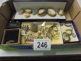 A collection of antiqe and other cameo including a 14ct gold example & quantity of other jewellery .