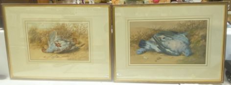Two framed and glazed Cruickshank (William, 1848-1922) watercolour life studies of shot gamebirds