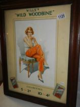 A Wills Woodbine advertisement. COLLECT ONLY.