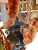 A quantity of old fox fur stoles etc.,